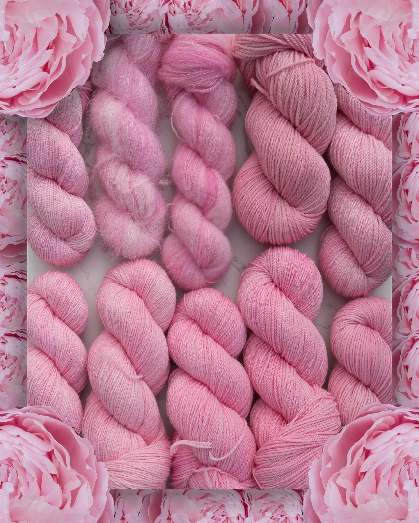 PEONY 🌸

Next up joining us is this stunner of a baby pink. This was April&rsquo;s Nature Palette tonal and I just am so in love with it. 

Bases L-R top: Bamboo Sock, Swimming Suri, Cashmere Lace (new!), Rambouillet DK (new!), Albatross DK

Bases L