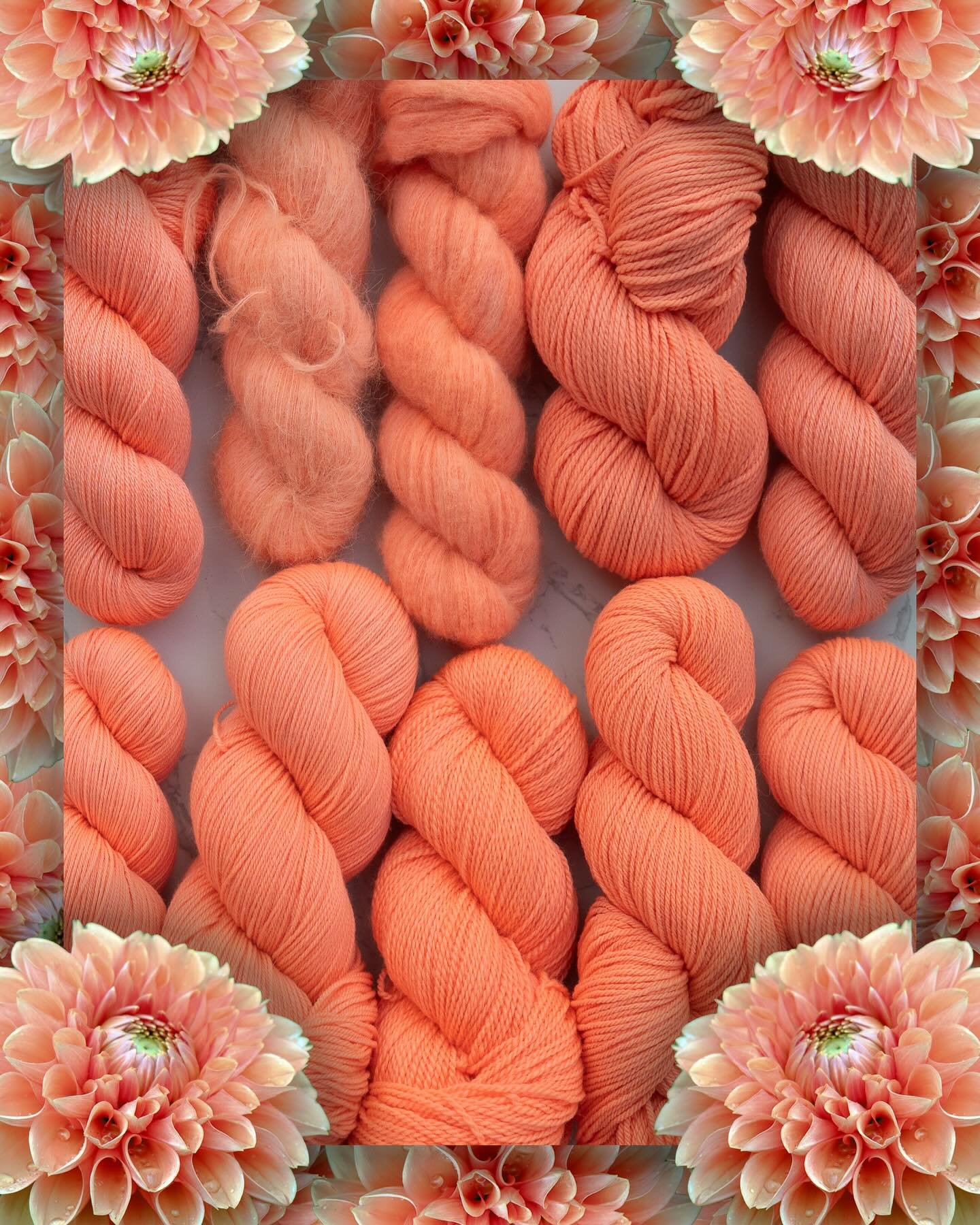 DAHLIA 🍑🌸🧡

Next up joining us in this flowery collection is the tonal from July&rsquo;s Nature Palette. Originally called peaches (the variegated was dahlias) this electric peach colour is just so fun. This vibrant pinky orange is *neon*, and I d