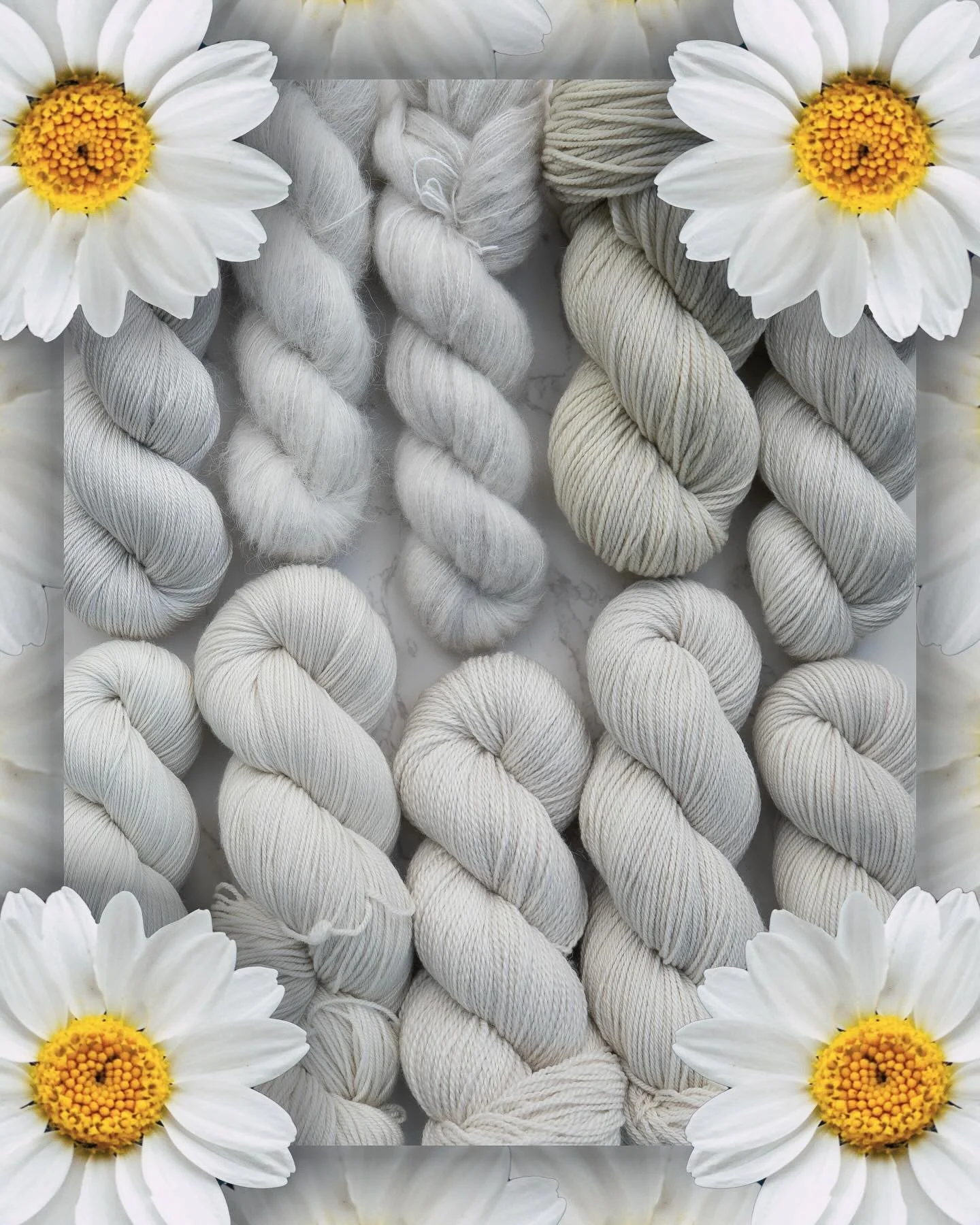 DAISY 🌼

AKA our signature white, we&rsquo;ve decided it&rsquo;s gotta come back for every collection at this point. It&rsquo;s had a many names before, including Barnacle/Minas Tirith/Brie. For this collection it&rsquo;s named after my favourite wh