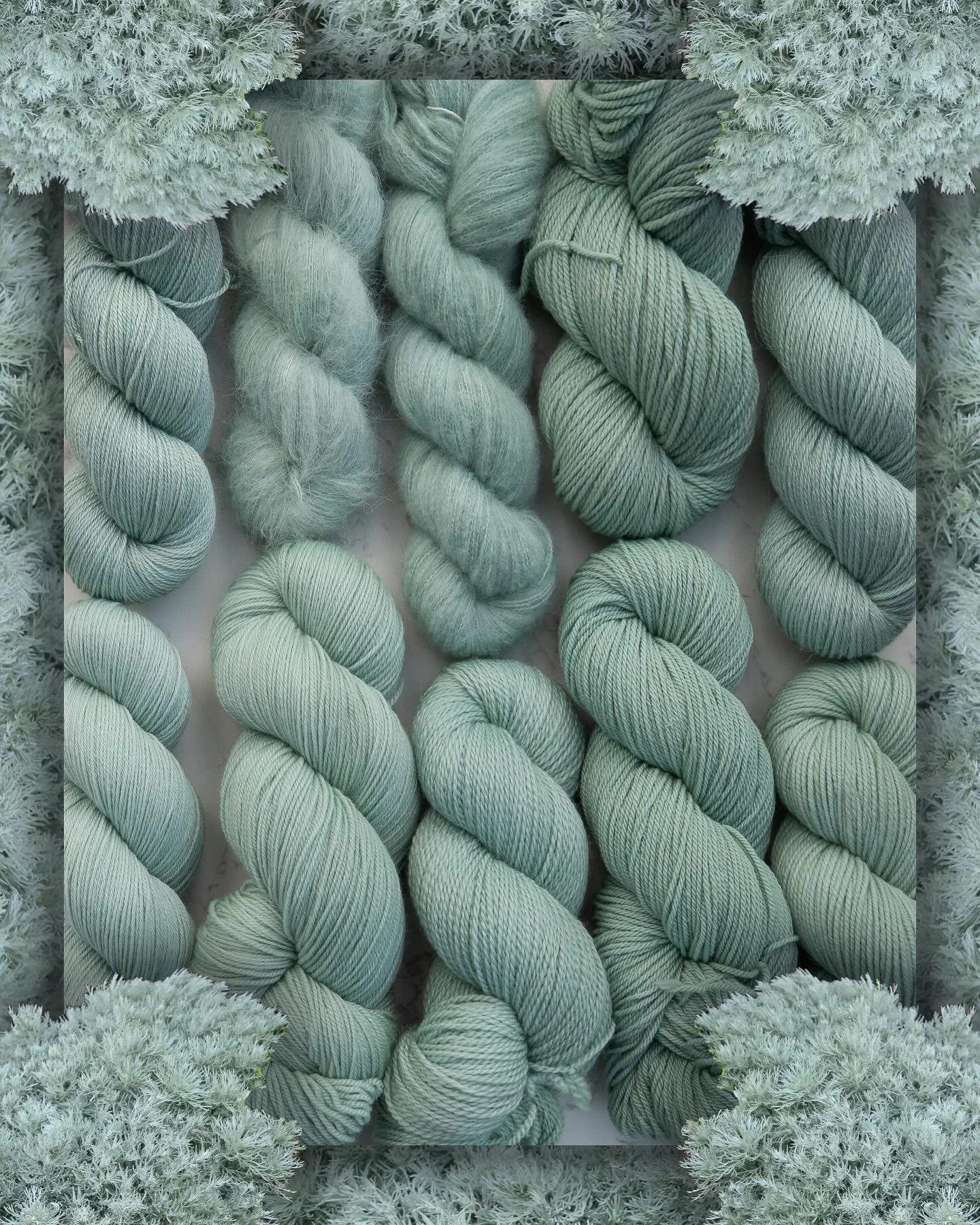 SAGEBRUSH 🌿

The most perfect light sage colour we&rsquo;ve ever created 😭🤌🏻 This is March&rsquo;s Nature Palette tonal, originally called New Life, and I am just so obsessed. 

Bases L-R top: Bamboo Sock, Swimming Suri, Cashmere Lace (new!), Ram