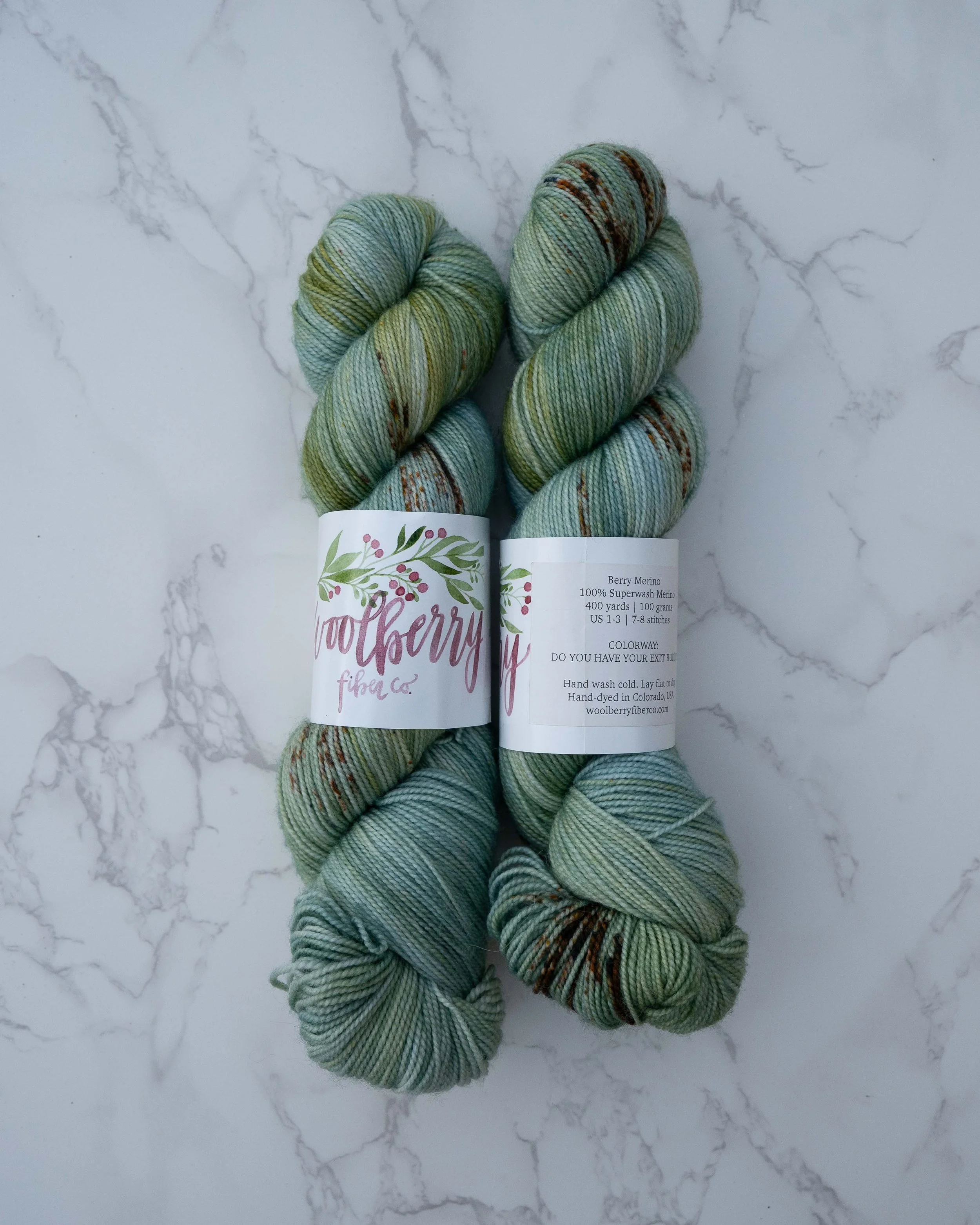 Woolberry Fiber Co - Do You Have Your Exit Buddy? (2 Skeins)