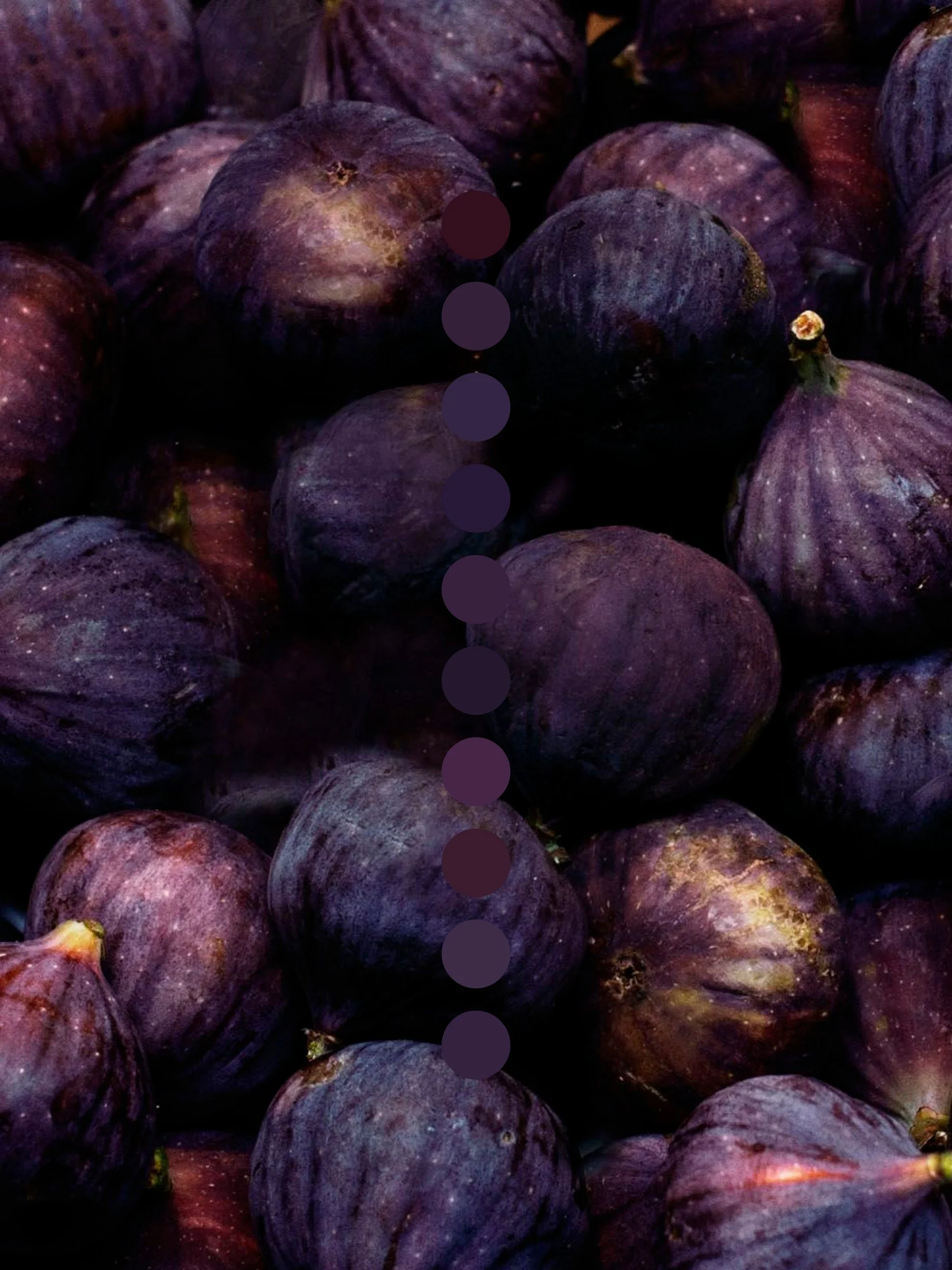 collage - 2025-11-06T183412.812.jpg