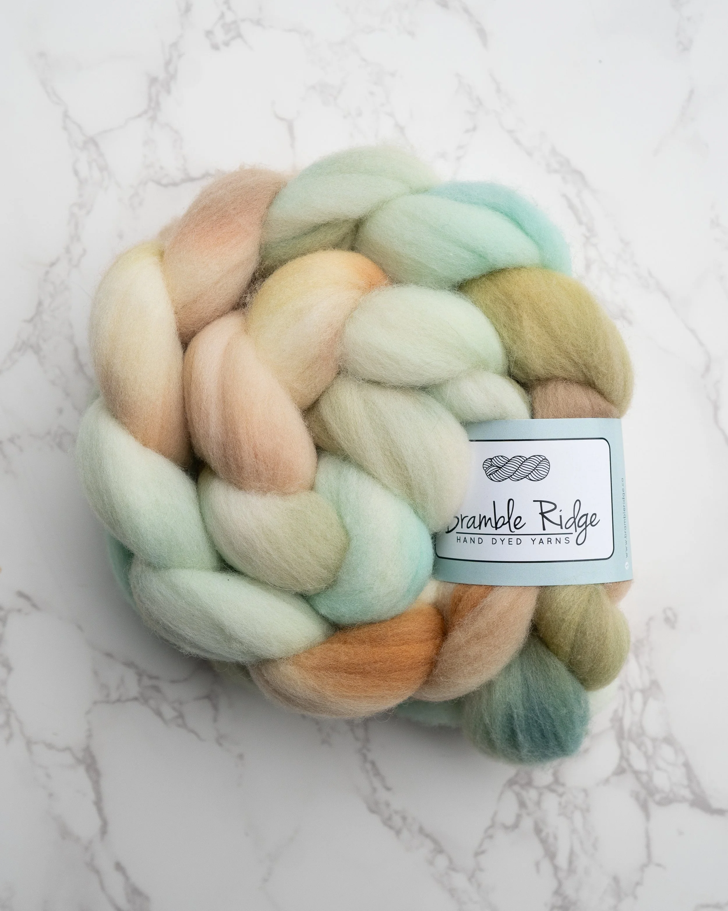 Bramble Ridge - The Price of Eggs Rambouillet Braid