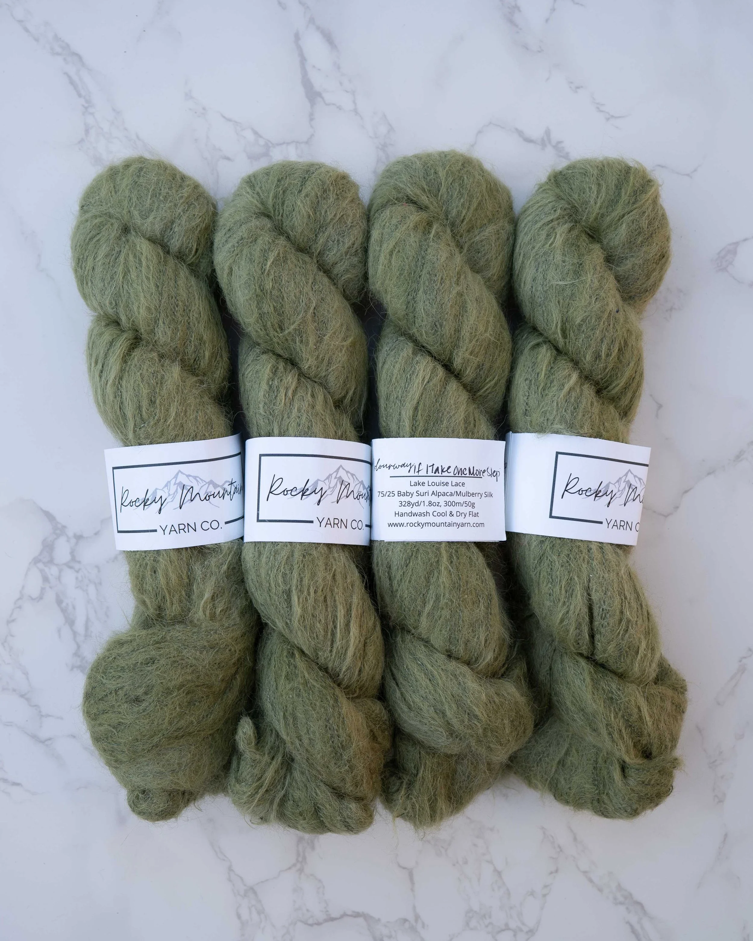 Rocky Mountain Fiber Co - If I Take 1 More Step (4 Skeins)