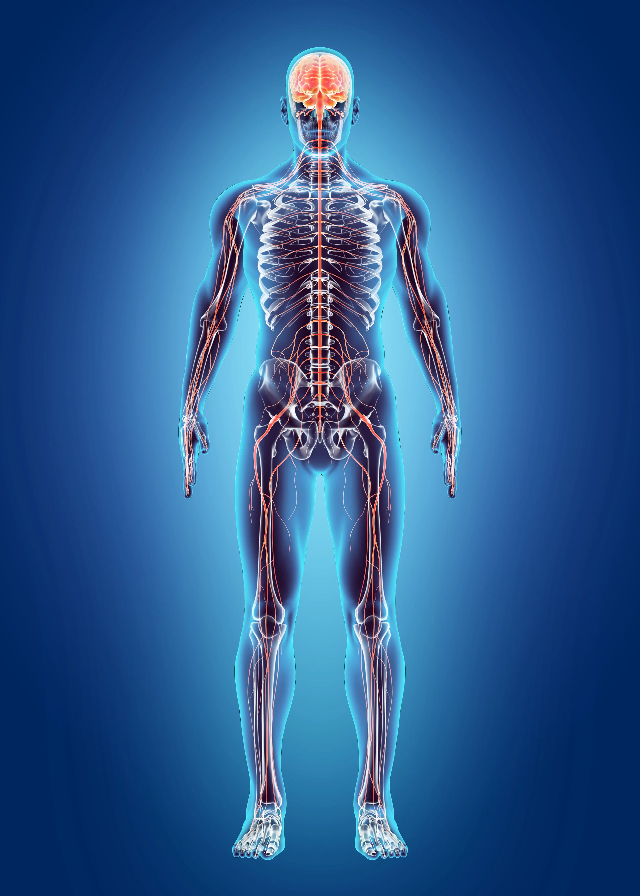 Photo by yodiyim/iStock / Getty Images