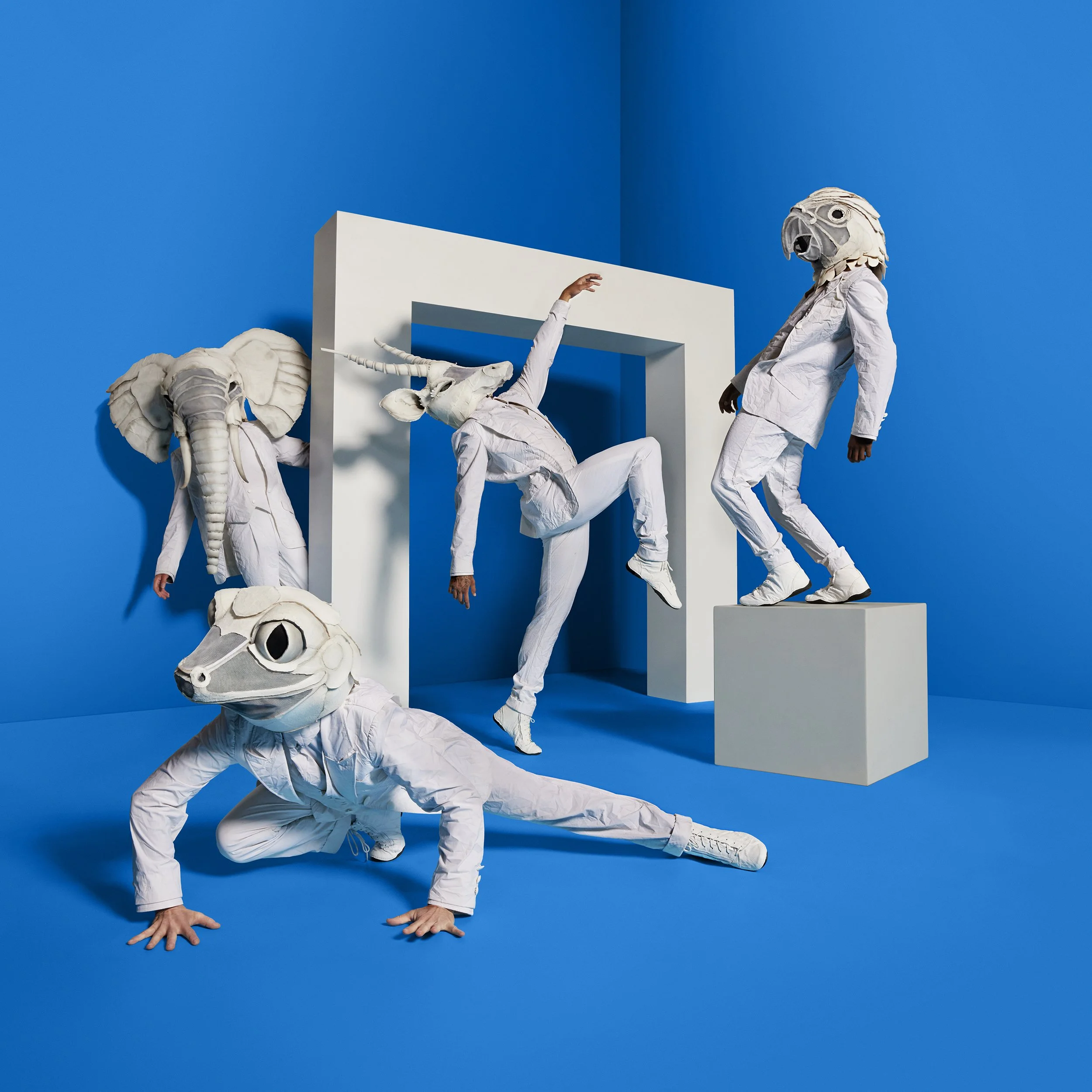 CDS- Echo-2024-TO-12001_v03M copy.jpg