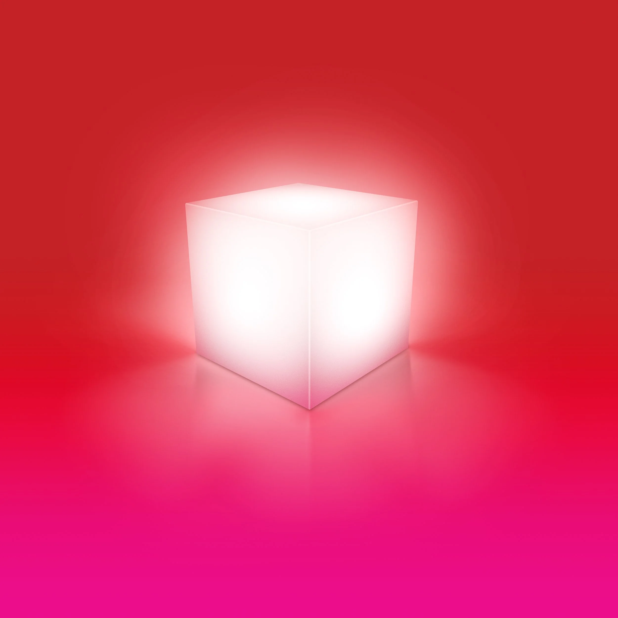 CDS-Echo-2024-TO4569_Cube_v04 copy.jpg