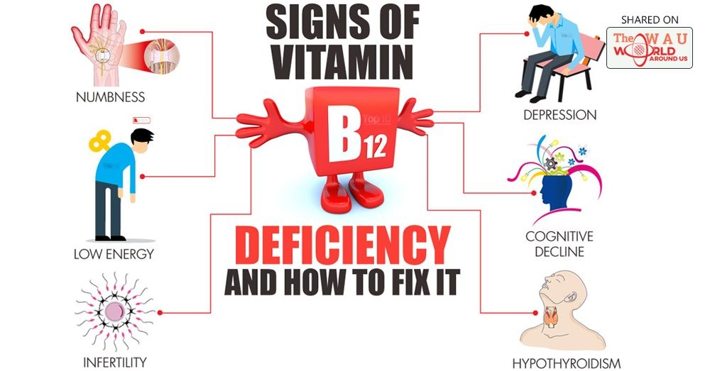 Everything You Should Know About B12 Injections Dr Mark Neumann D C D O 734 847 4700 419 474 4700