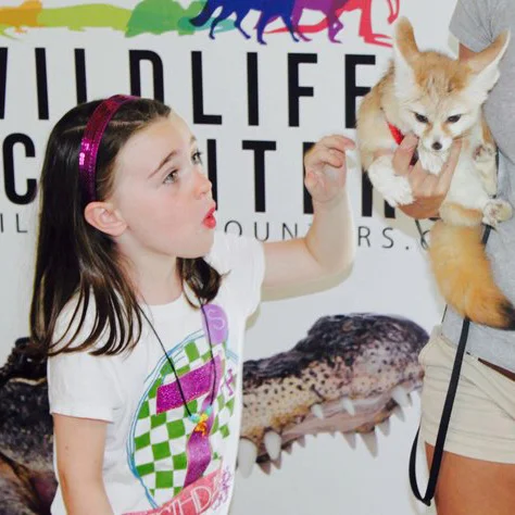 Wildlife Encounters | Wildlife Educational Outreach Programs - WILDLIFE