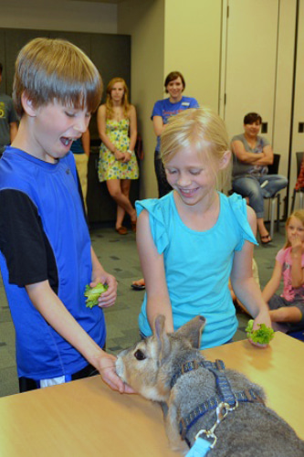 wildlife-encounters-library-programs.jpg