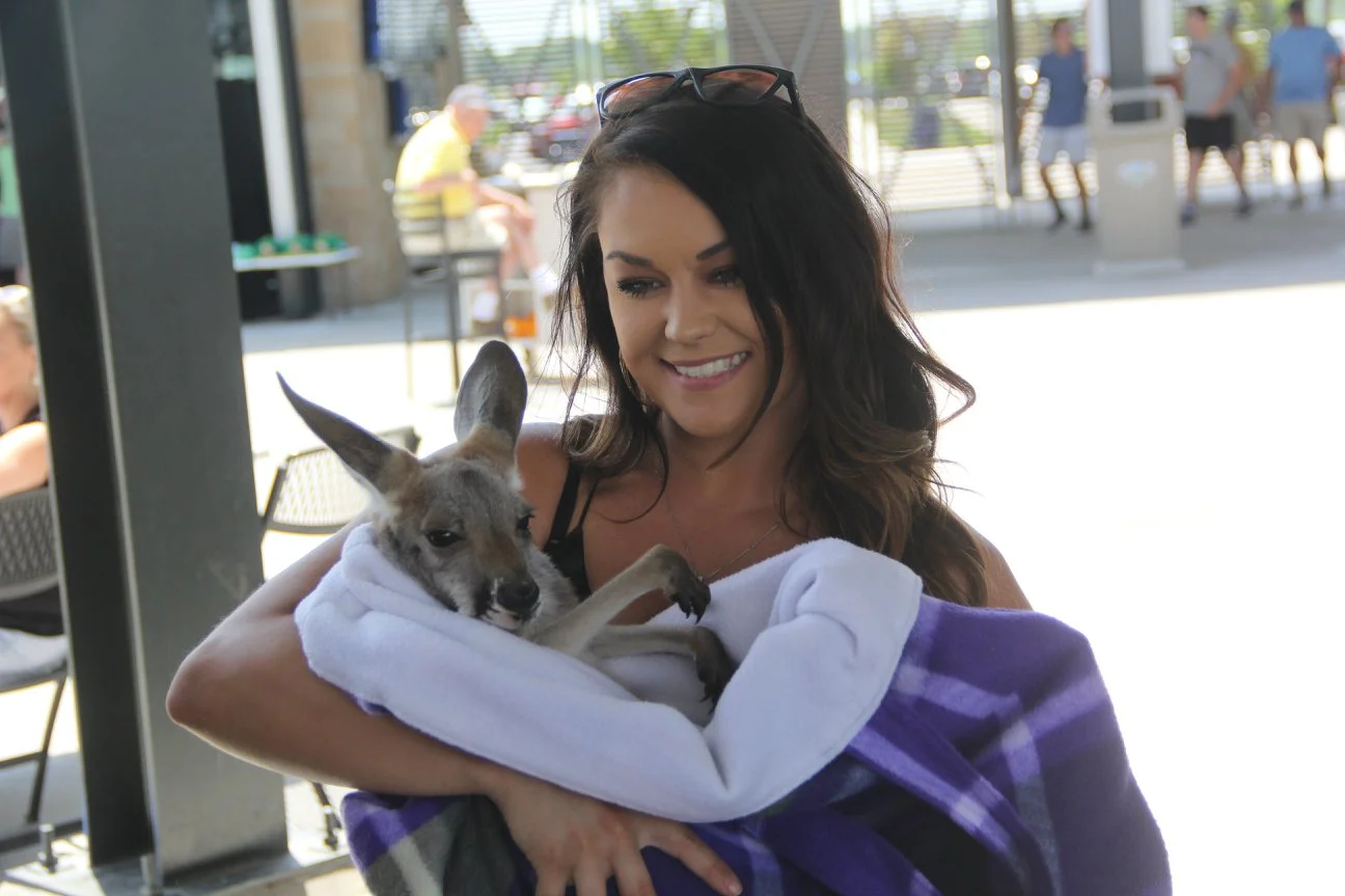 OMAHA PETTING ZOO WILDLIFE ENCOUNTERS