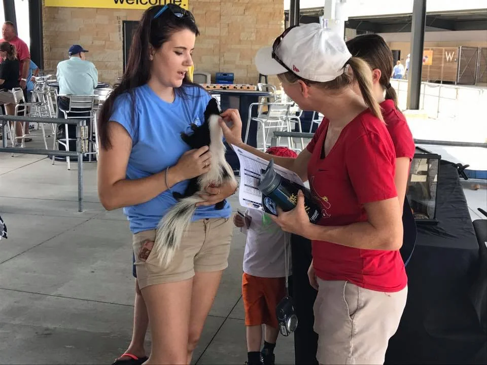 OMAHA PETTING ZOO WILDLIFE ENCOUNTERS