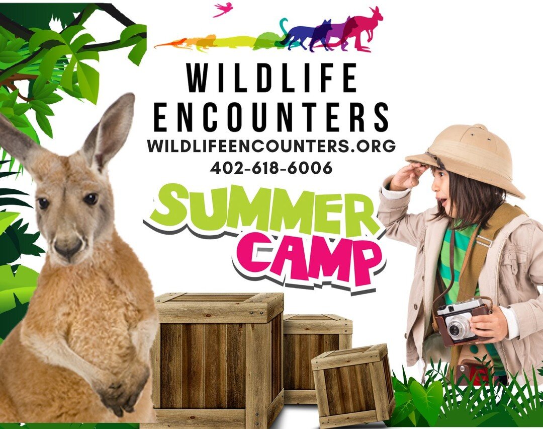The first week of camp starts this Monday, June 21st!  To ensure your campers are fully prepared please make sure  visit: https://www.wildlifeencounters.org/summer-camp-information
A few important things to remember:
* Water Bottle - we will have ple