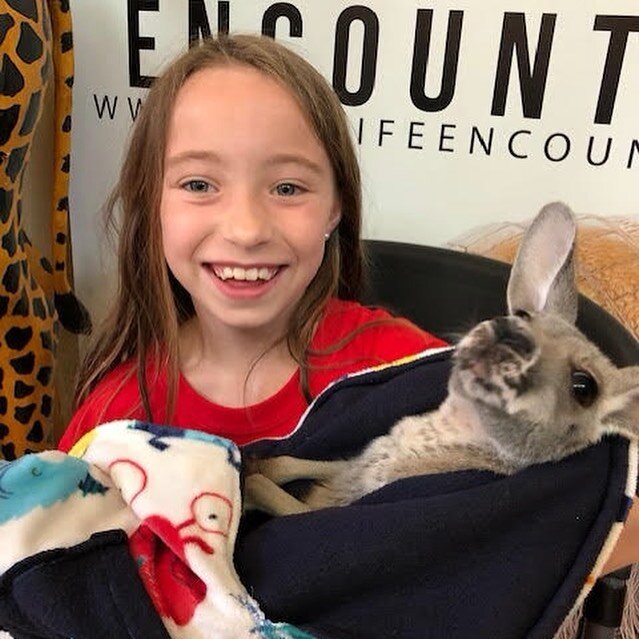 We have been so busy at camp and wildlife presentations we haven&rsquo;t had time to upload any photos. Our first week of camp has been a blast!  Campers have done some incredible activities including:
*Meet animals like a honey bear, kangaroo, allig