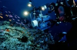 One World One Ocean campaign