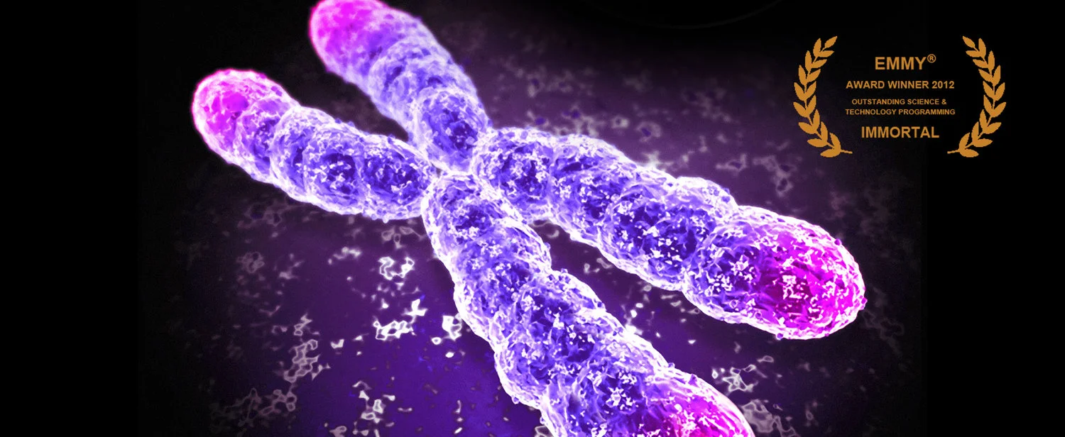 Immortal+Emmy+Chromosome+Slide.jpg