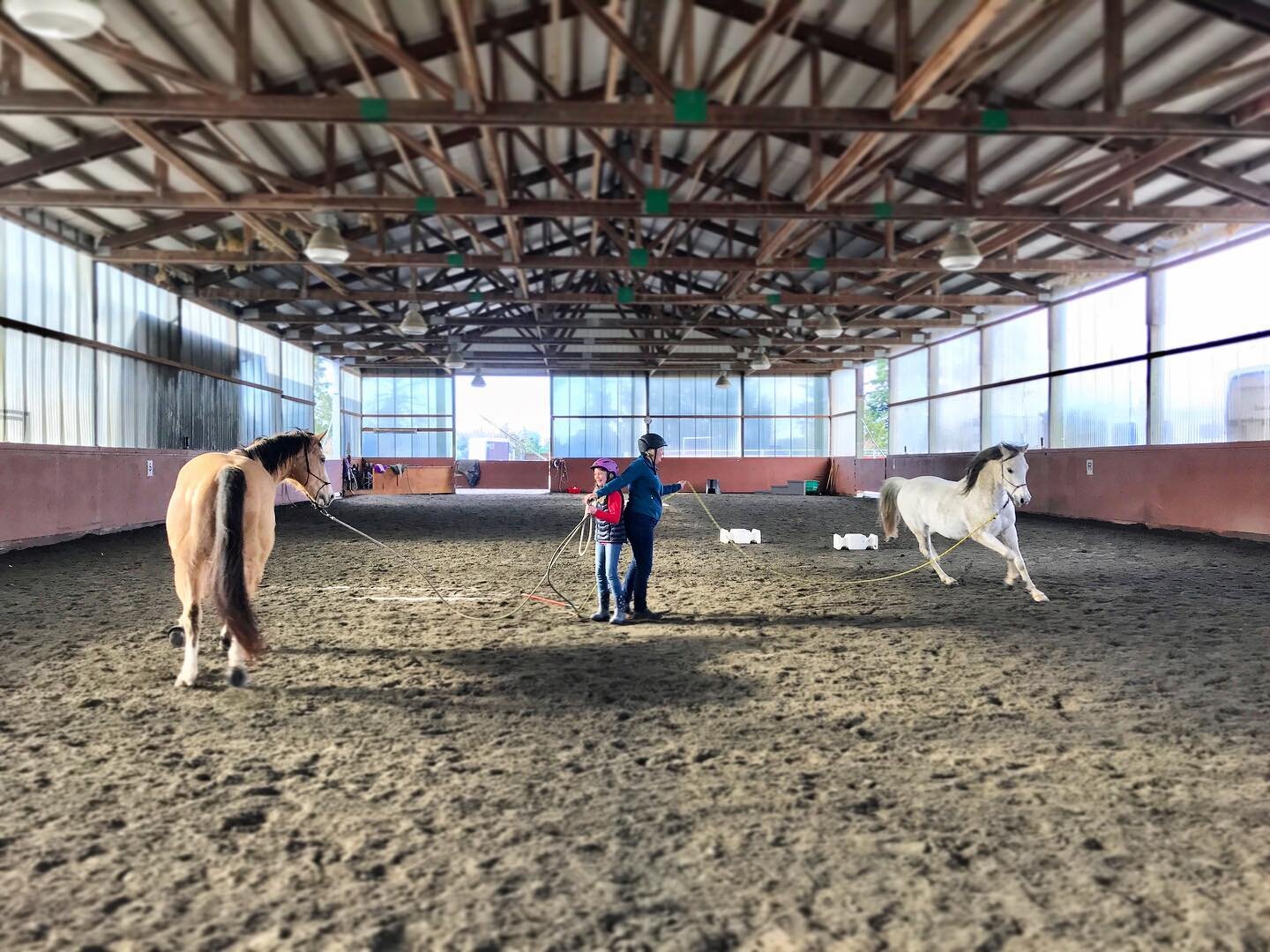 Love this tandem circling game from my favorite mother-daughter duo! 💜
 
The Circling Game tests the mutual responsibilities between horse and human. Ultimately can the human stay neutral while the horse goes out and does it&rsquo;s job? Or does the