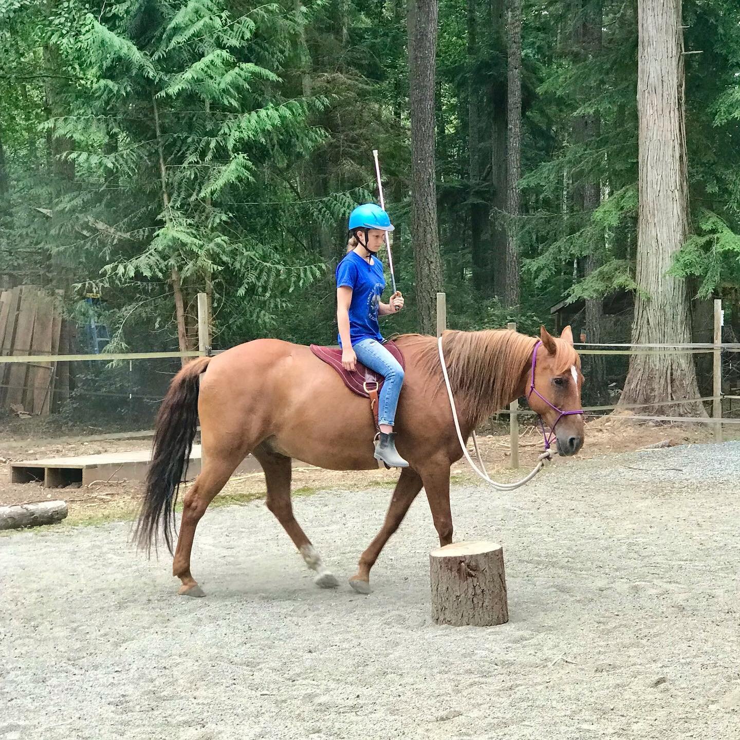Yesterday&rsquo;s kids day was all about FreeStyle! 🐎 The more advanced riders moved up to riding with two sticks and everyone else started riding with a single stick for the first time. 

Before getting on their horses with sticks we checked off so