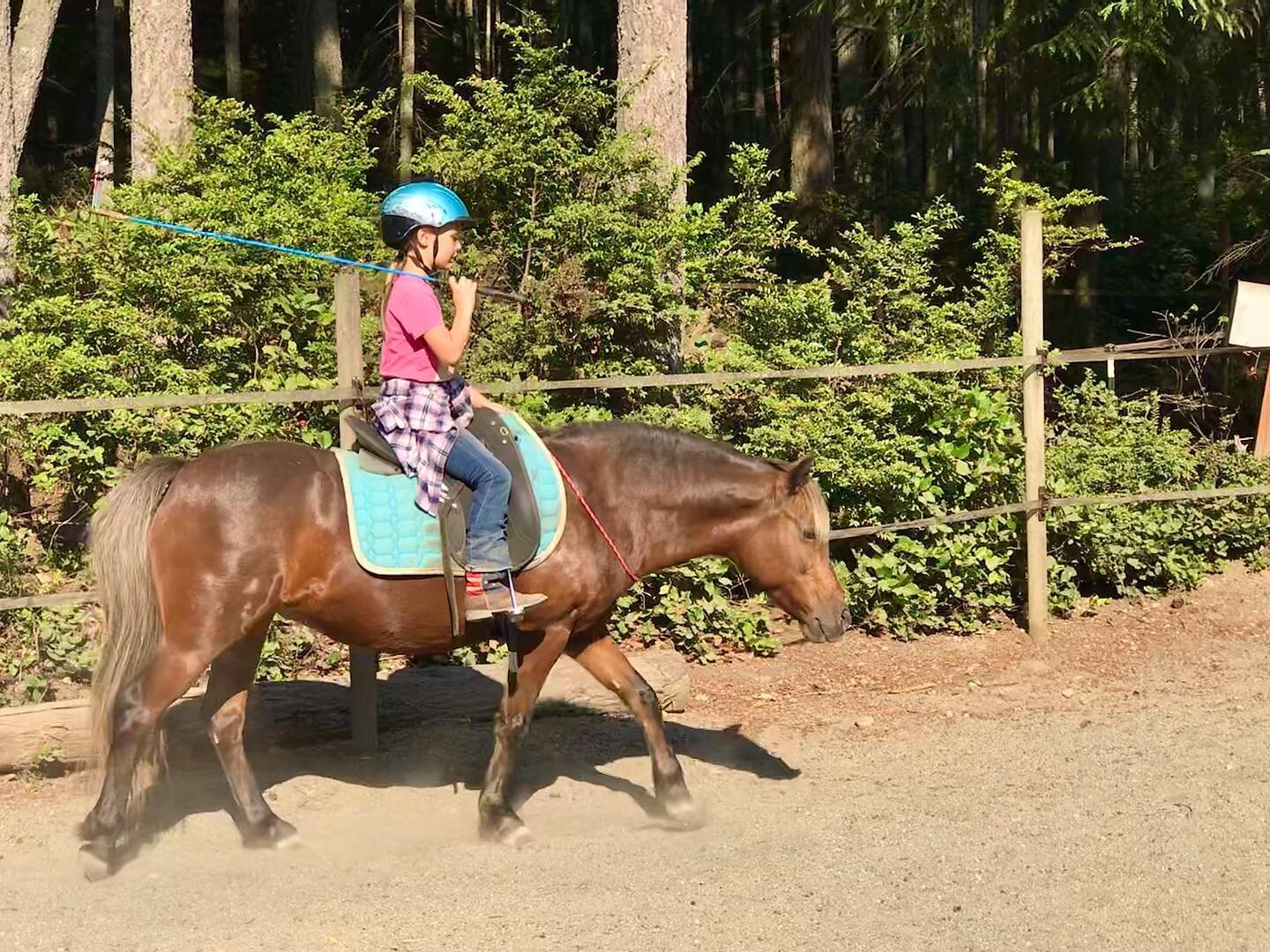 This little pair had their first bridleless ride this morning! A true test of trust and partnership. I&rsquo;m so proud of them! 😍