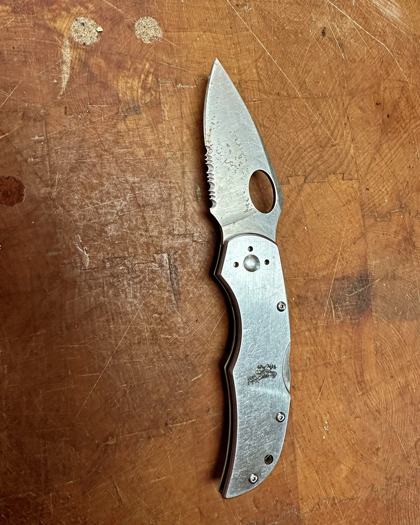 Something I learned a long time ago is that as a horseman you should always carry a knife on you. And not just any knife. A sharp one with a serrated edge. Today I am grateful for that tidbit of knowledge. 

My horse paws a little in the trailer some