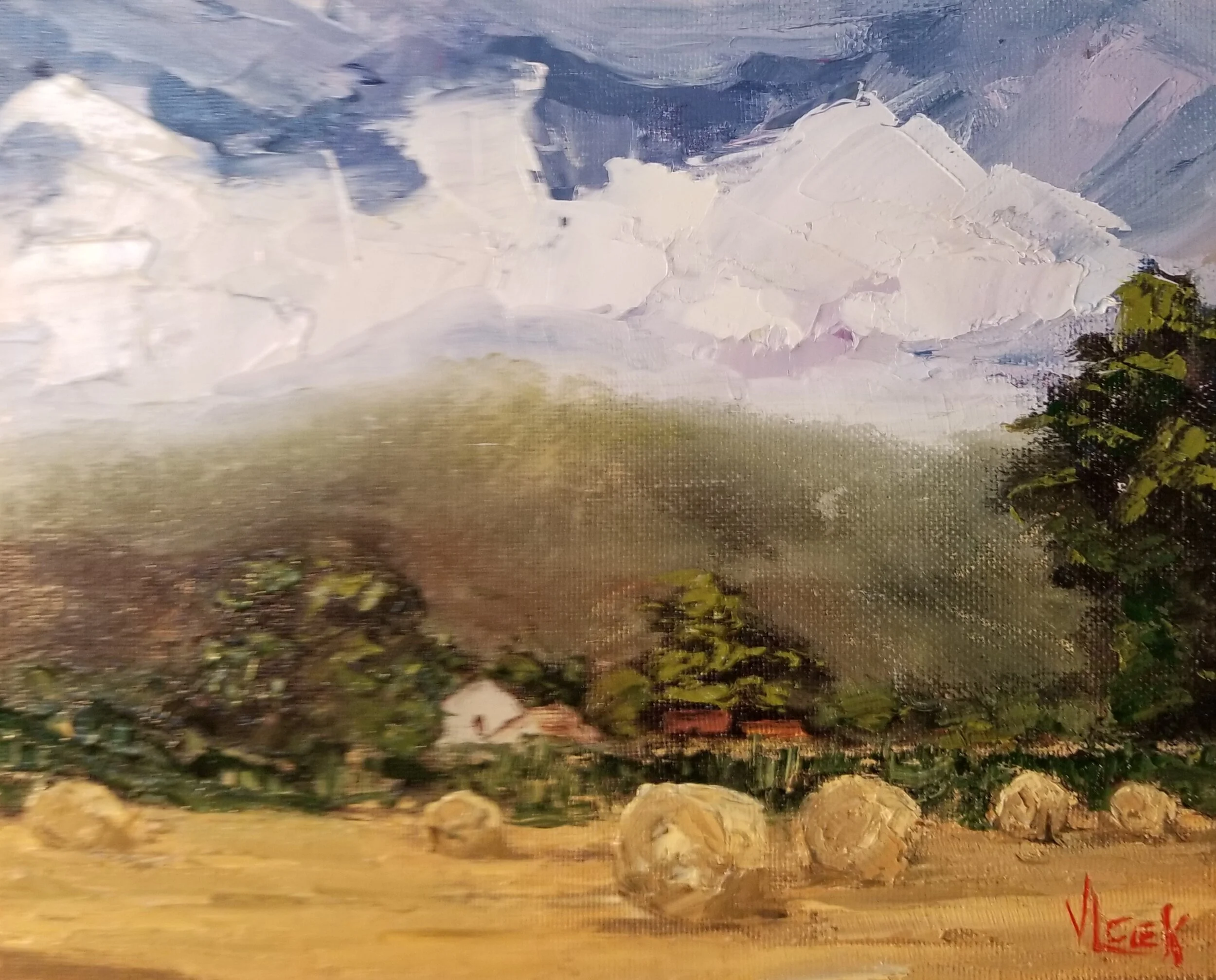 Hay Field.jpg