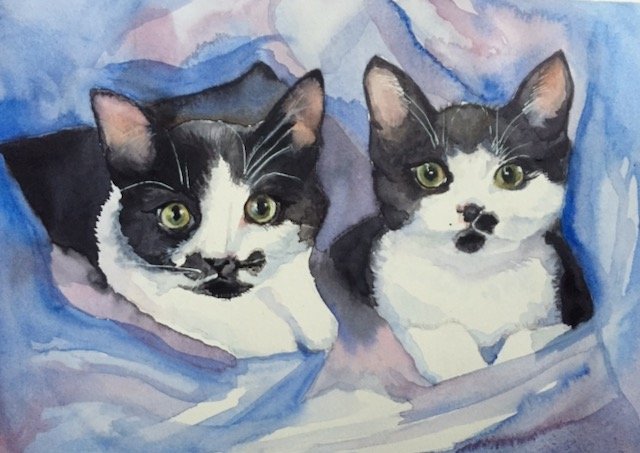 11x14 Inky and Clyde. Watercolor