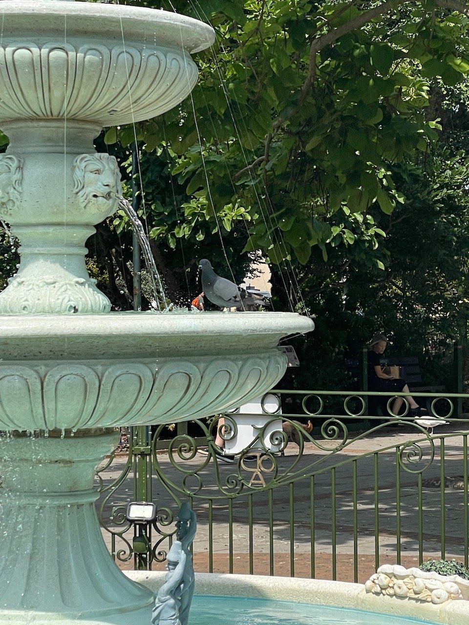 IMG_9955.jpeg