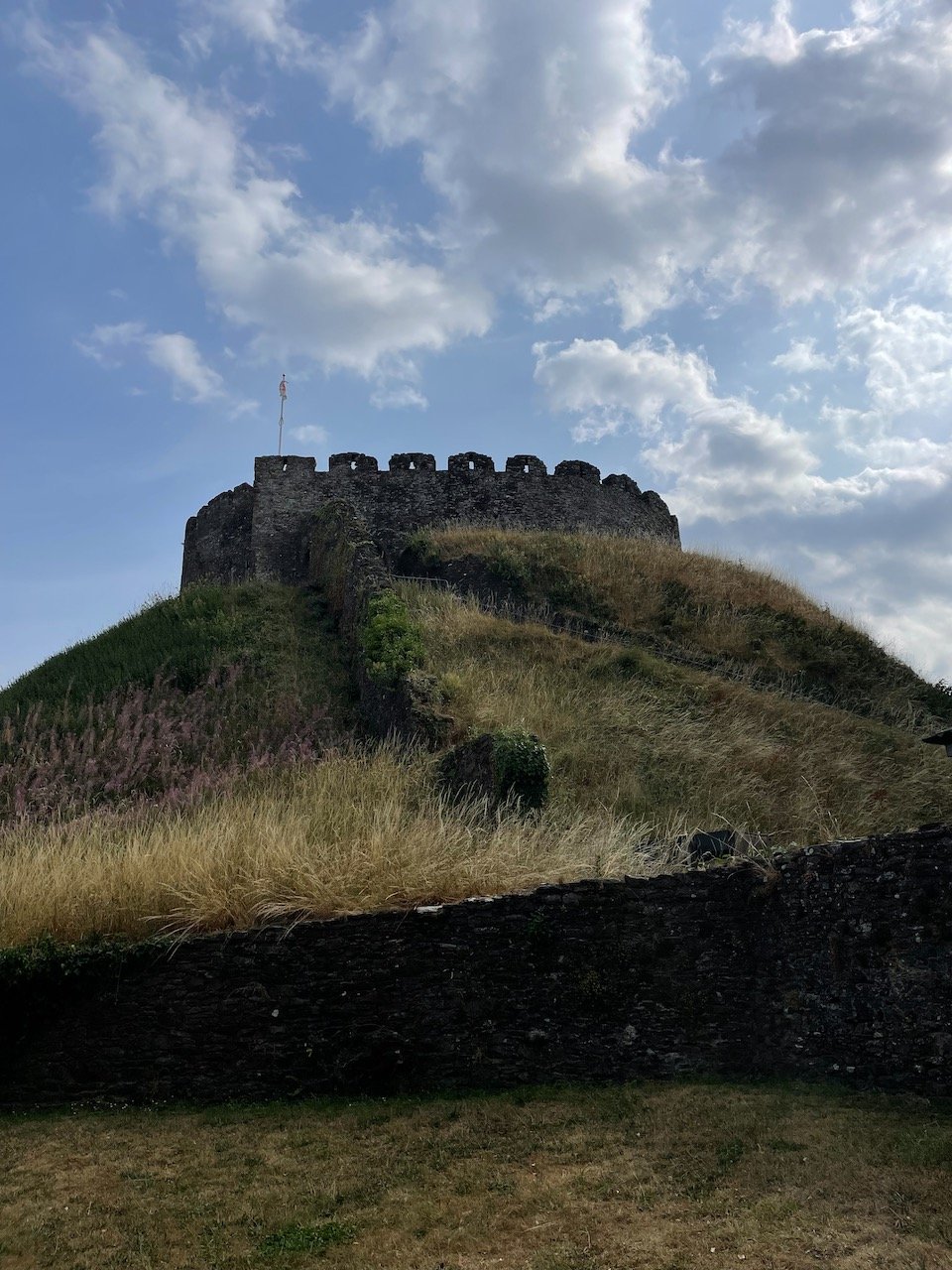 IMG_9981.jpeg
