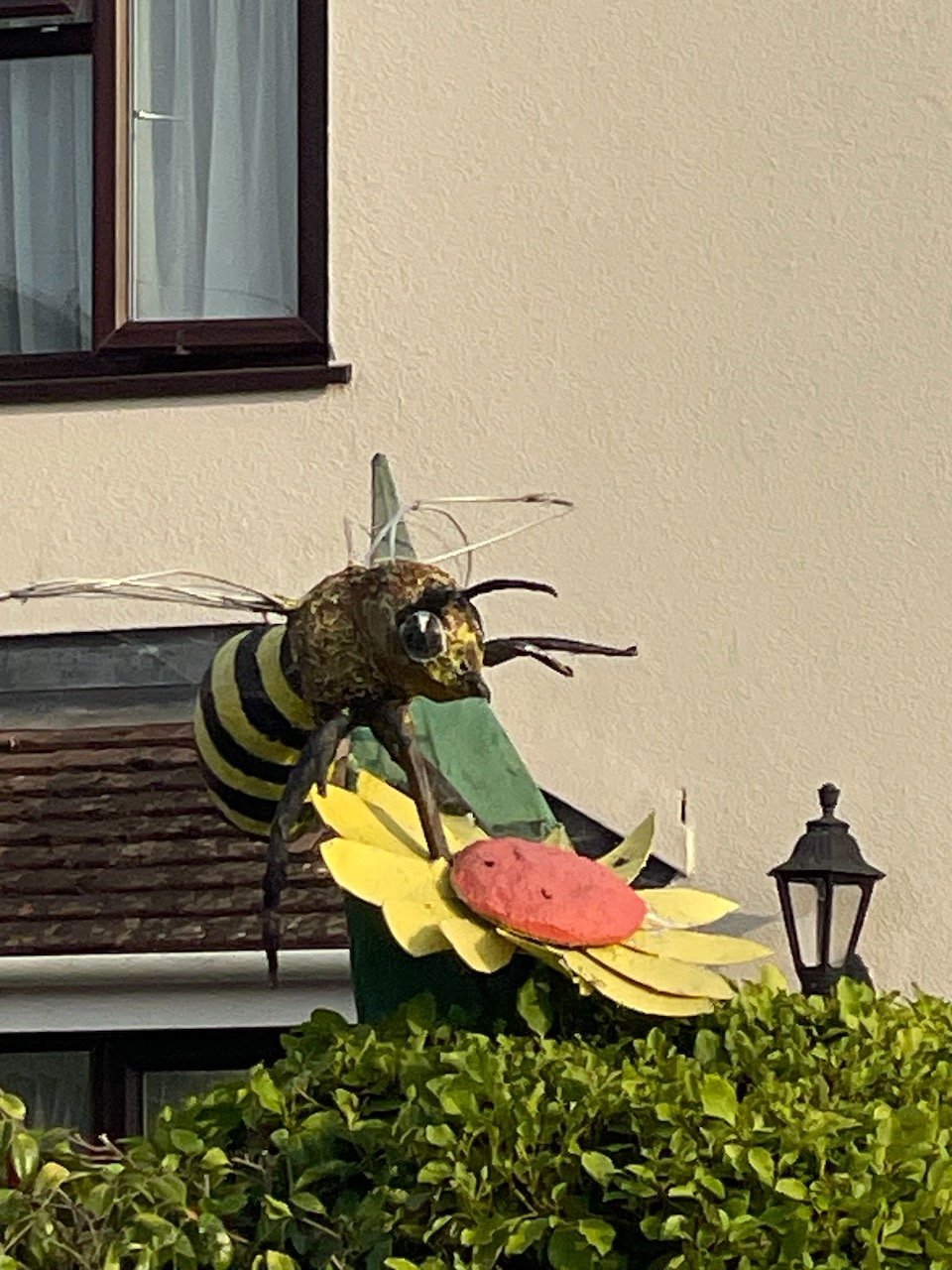 IMG_0004.jpeg