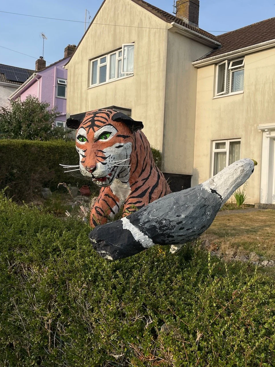 IMG_0014.jpeg