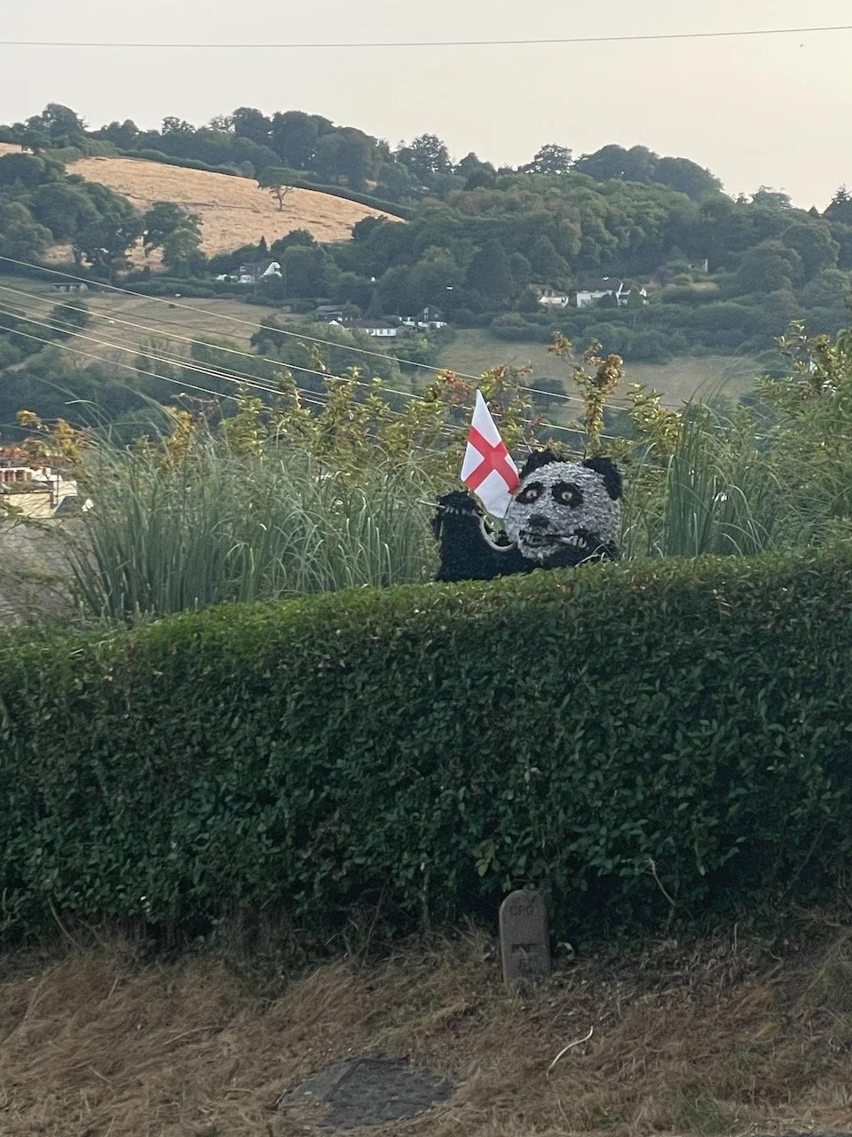 IMG_0016.jpeg