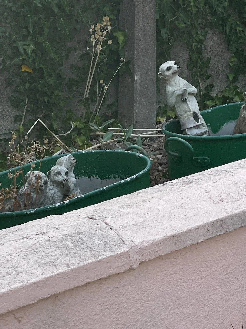 IMG_0021.jpeg