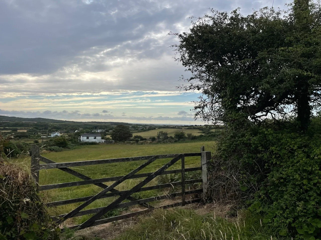 IMG_0067.jpeg