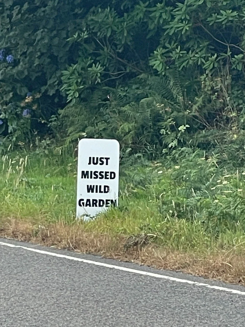 IMG_0070.jpeg
