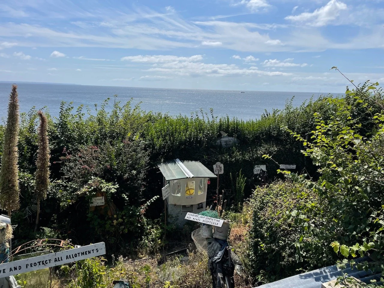 IMG_0099.jpeg