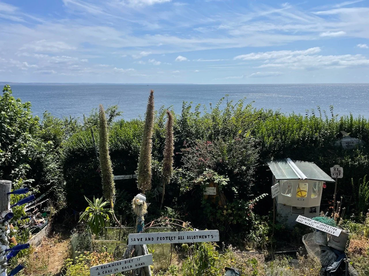 IMG_0100.jpeg