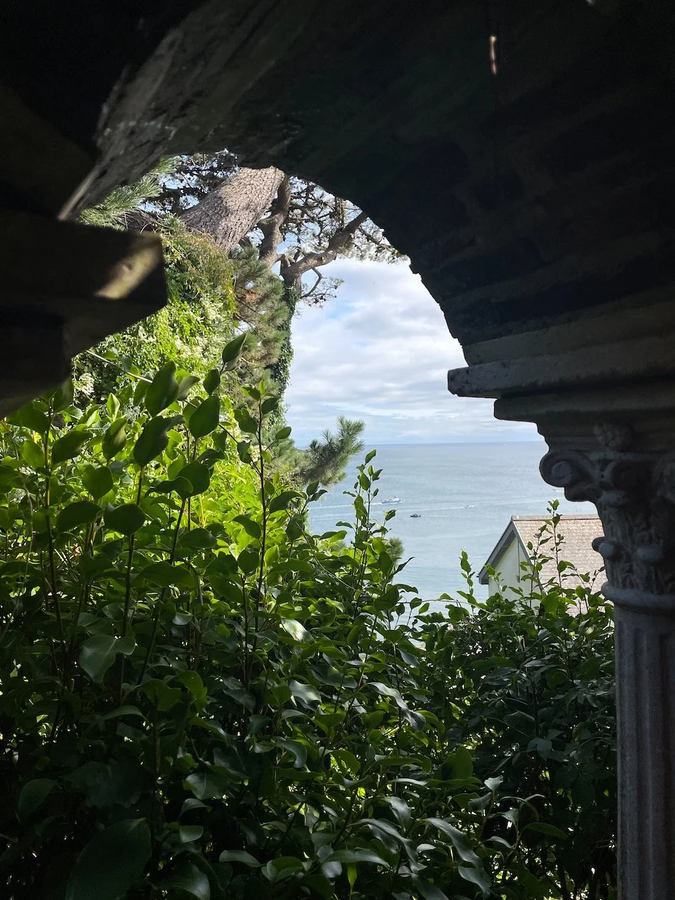 IMG_0740.jpeg