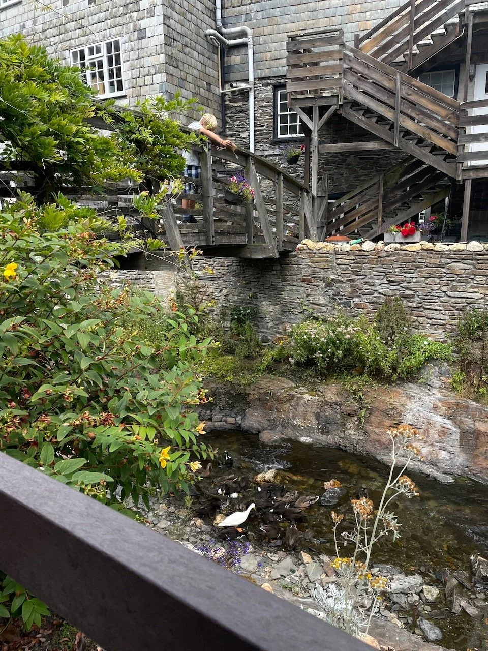 IMG_1002.jpeg
