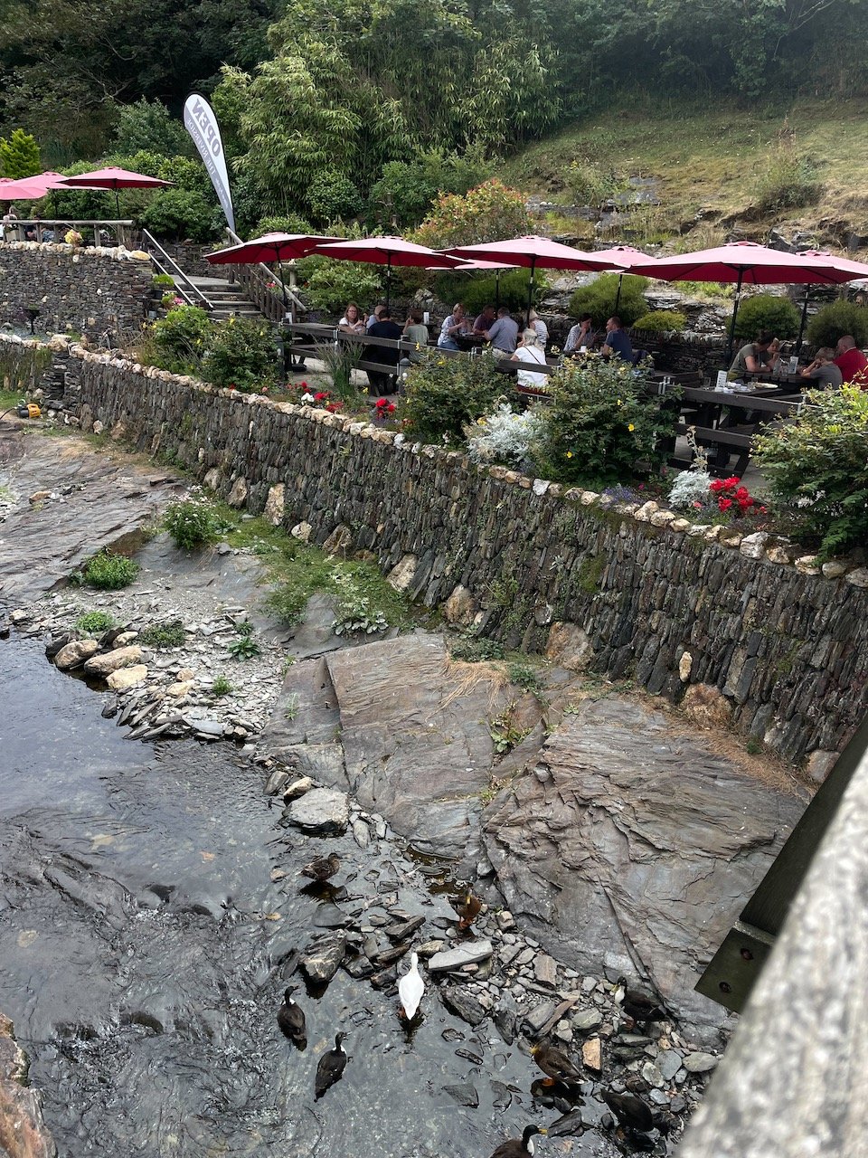 IMG_1006.jpeg