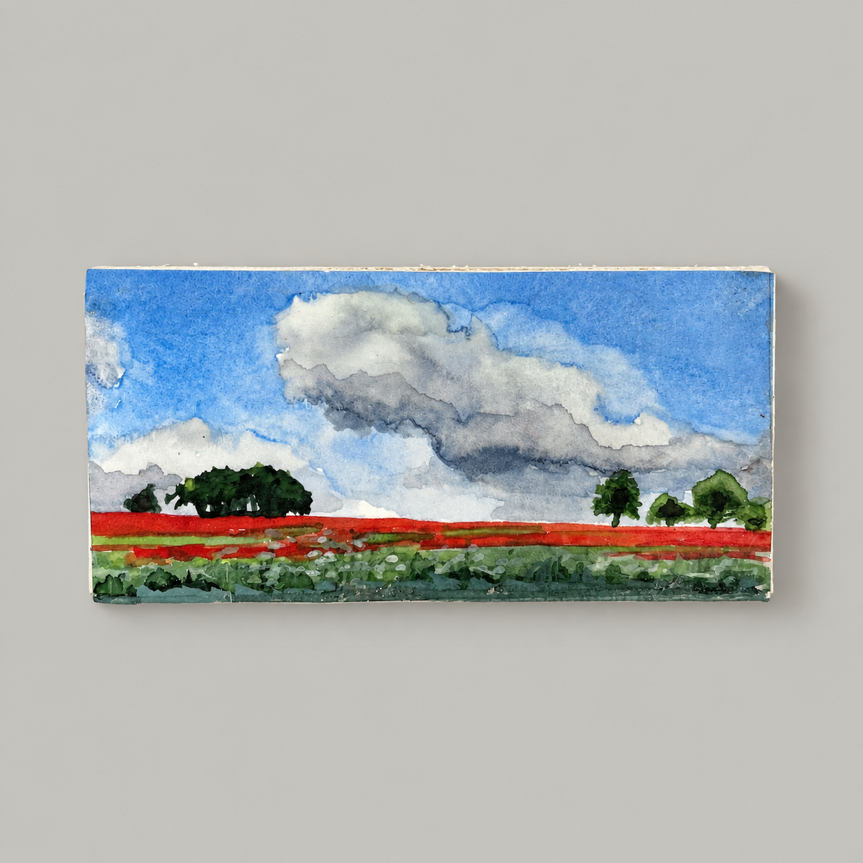 poppies.png