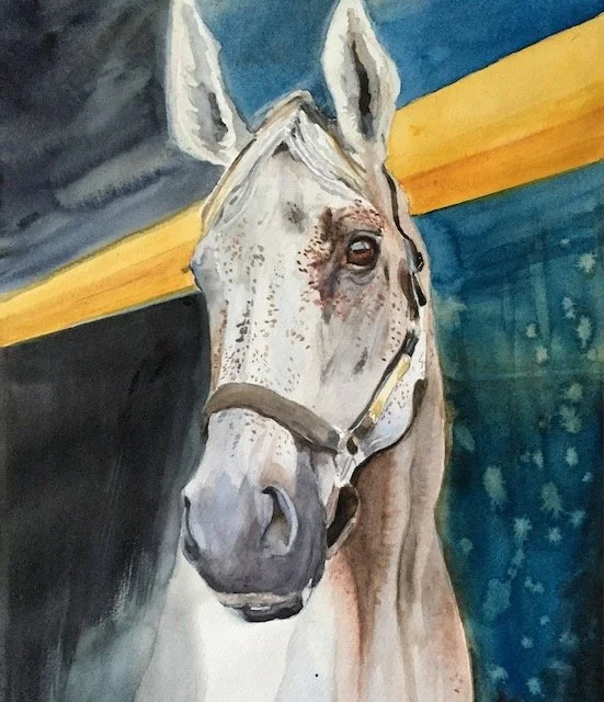 Silvio. 18x24. Watercolor