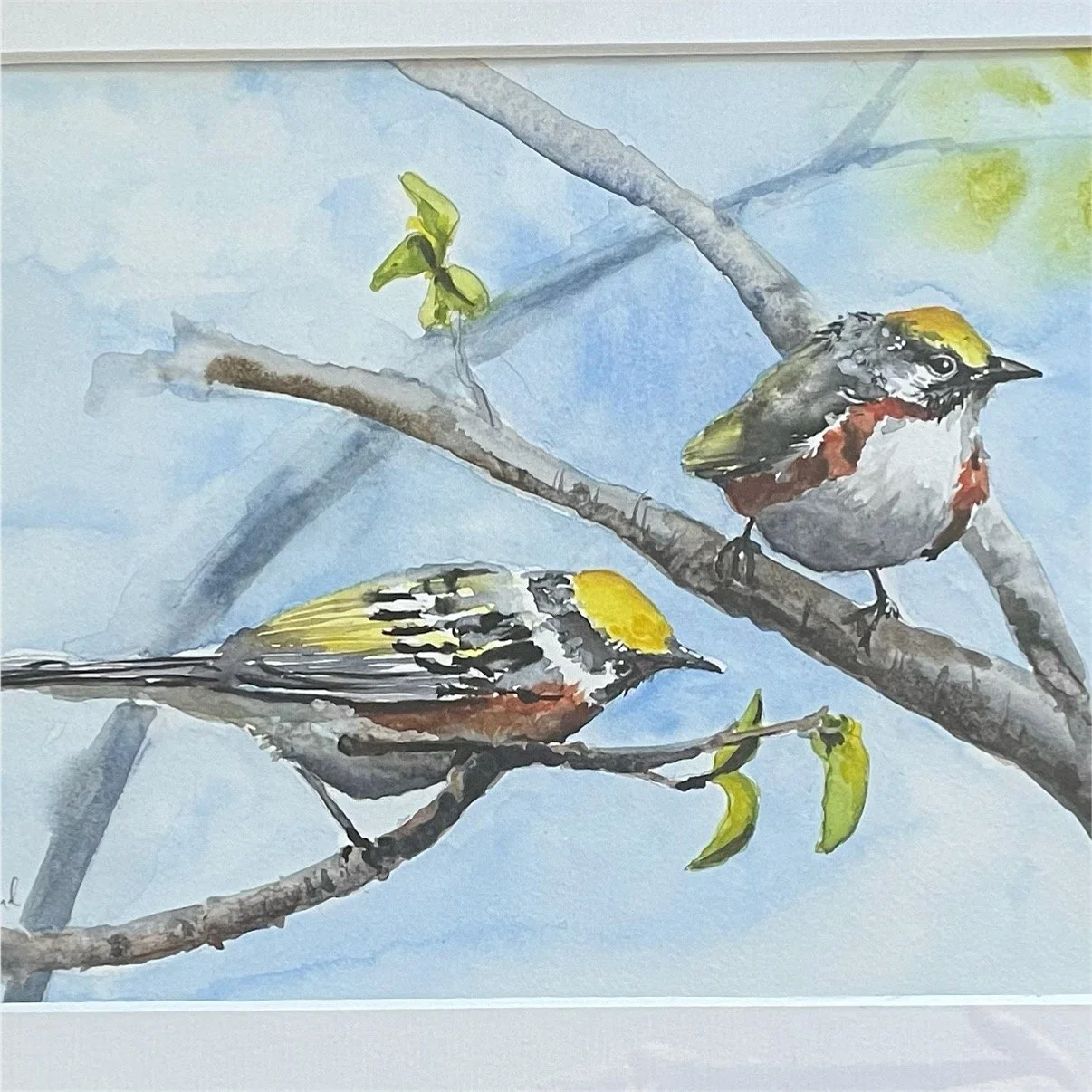 Watercolor Birds