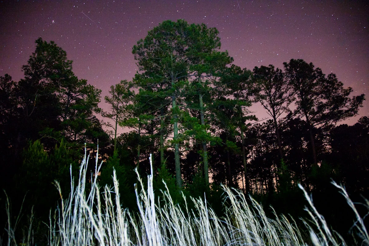 South Carolina