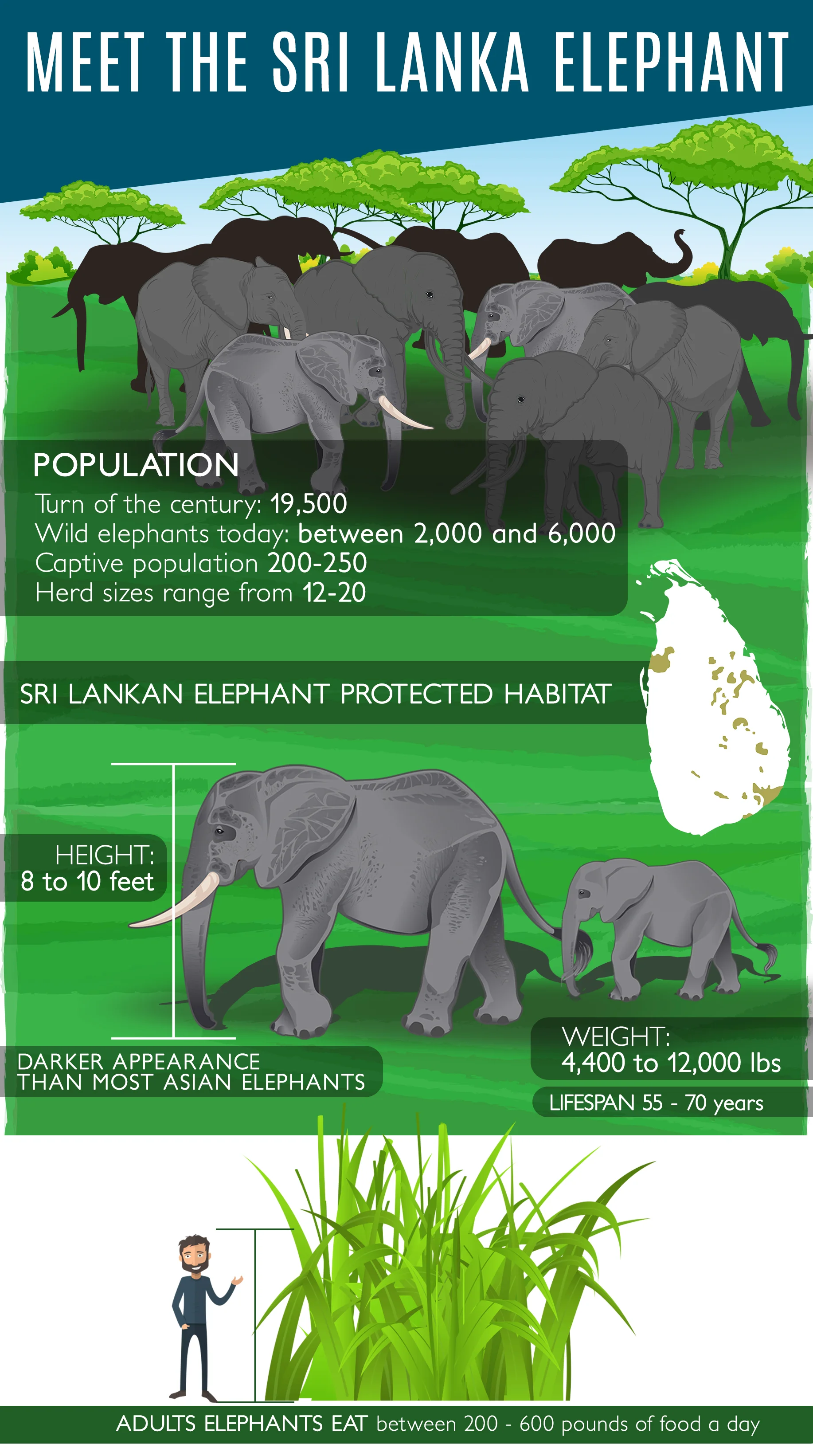 Client: Sri Lanka Foundation SLF is an LA-based non-profit that provides outreach for the Sri Lankan community in southern California.These infographics were made for use on the org's facebook, twitter and instagram.