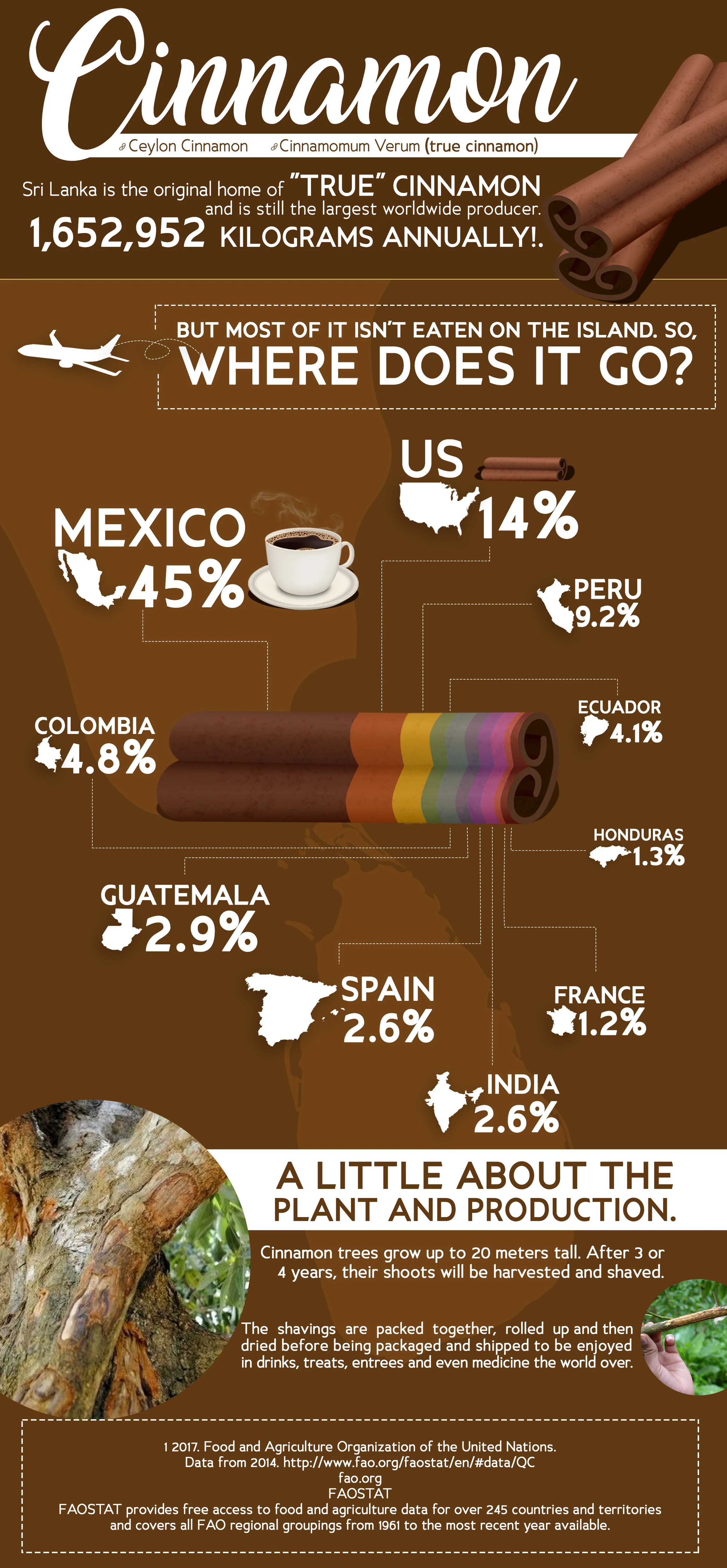 No one knows cinnamon like the Sri Lankans.No one.