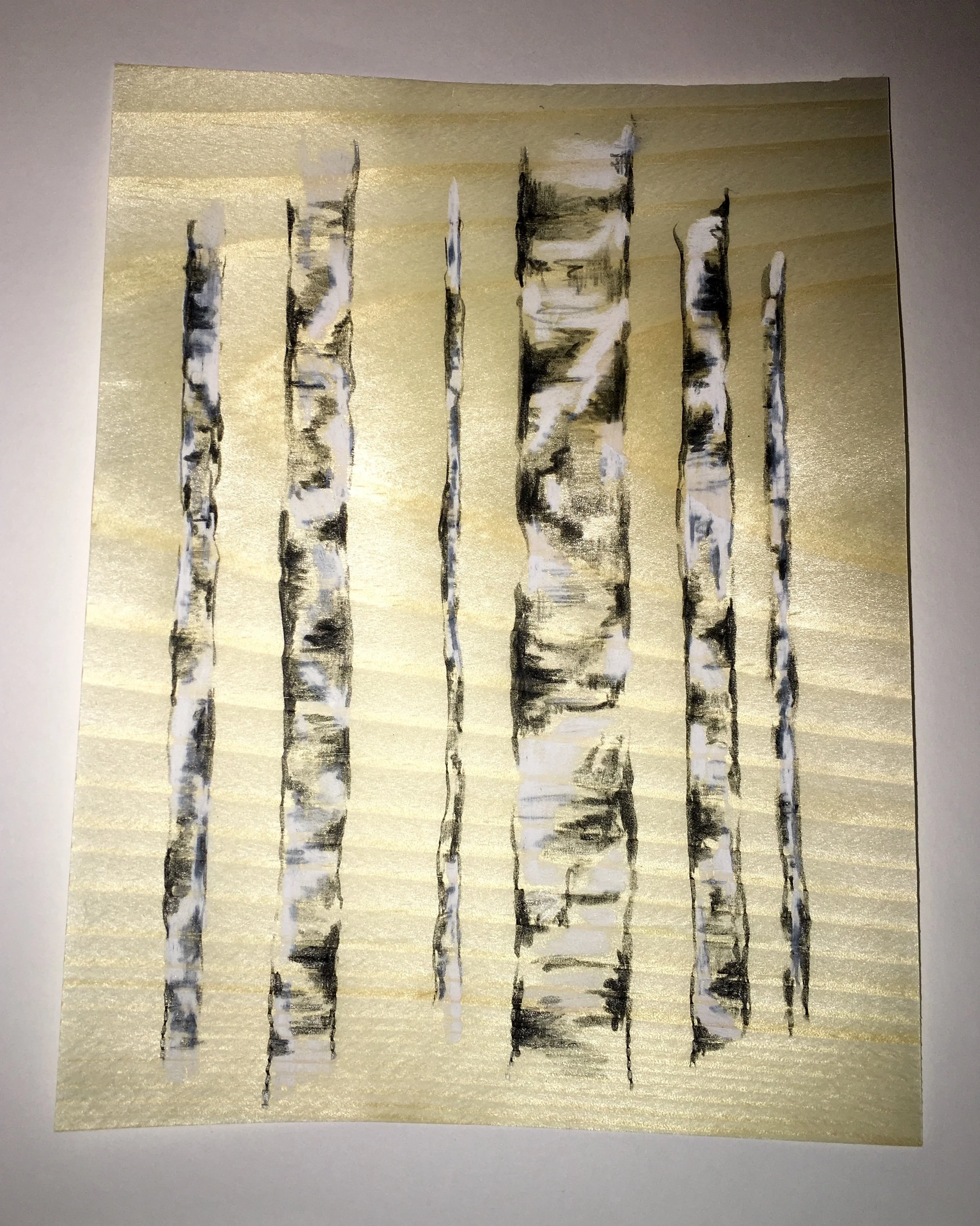 Briches on Pine 1 (flash used to show sheen of wood)