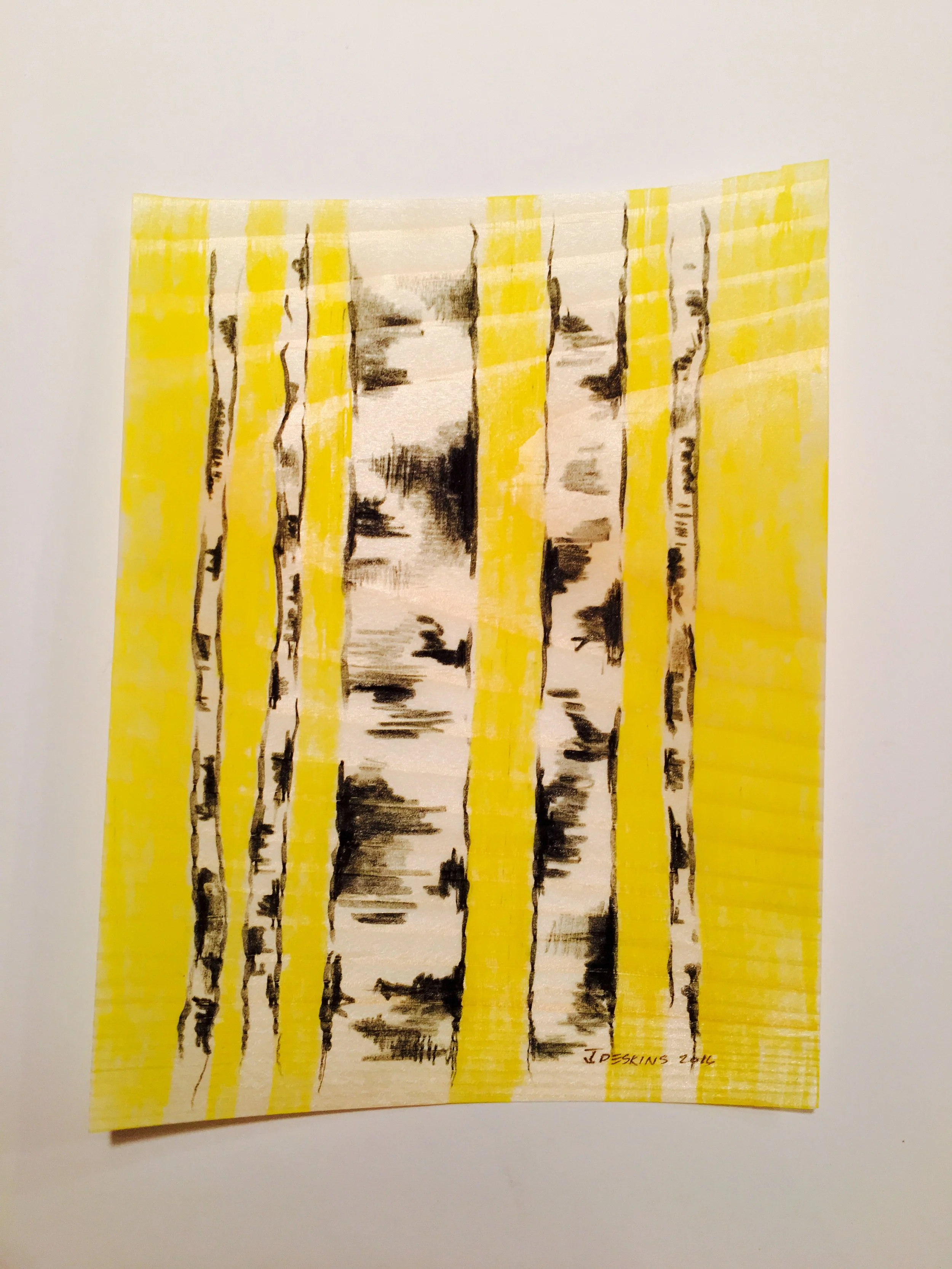 Bright Birches (Sold)