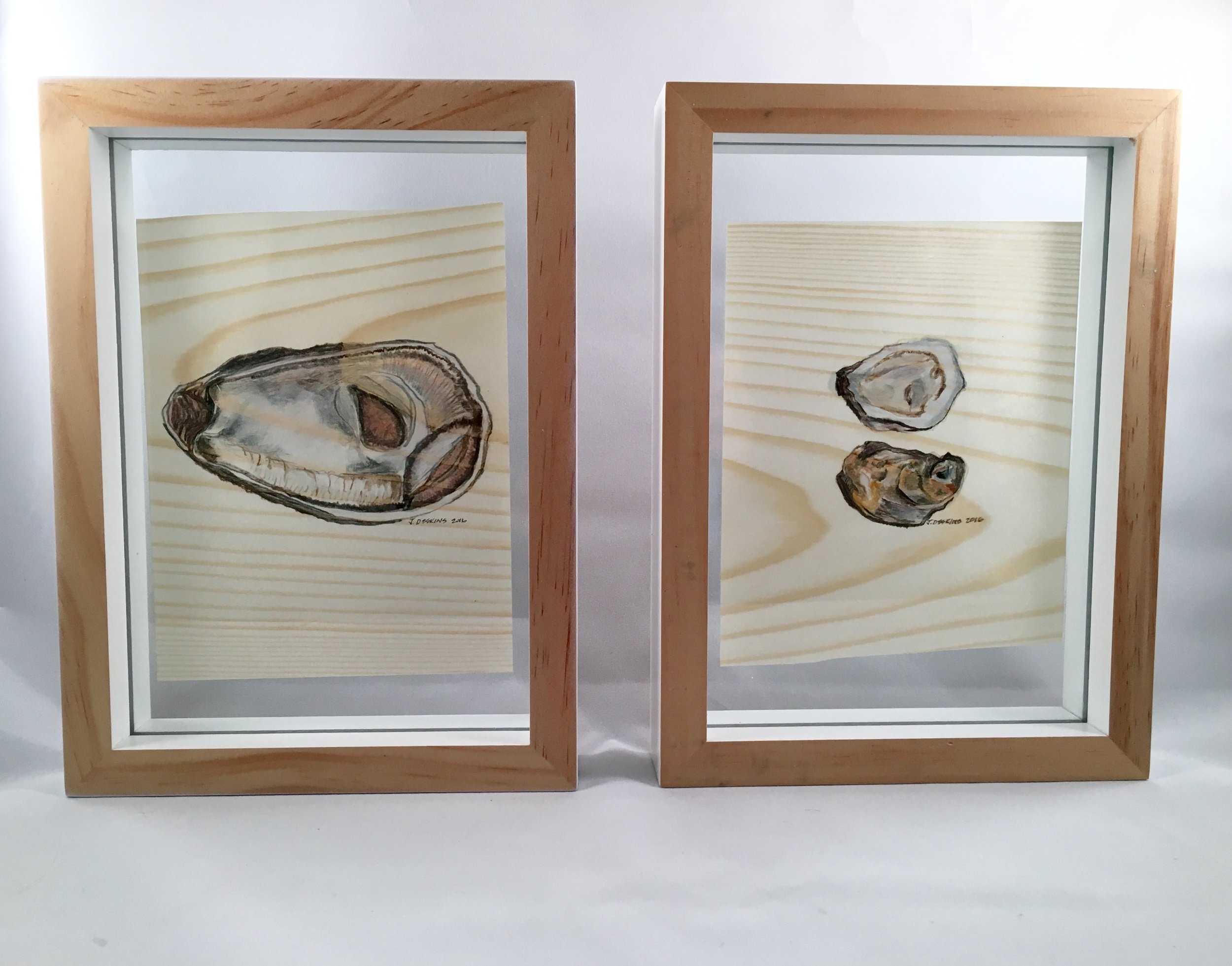 Oyster Series