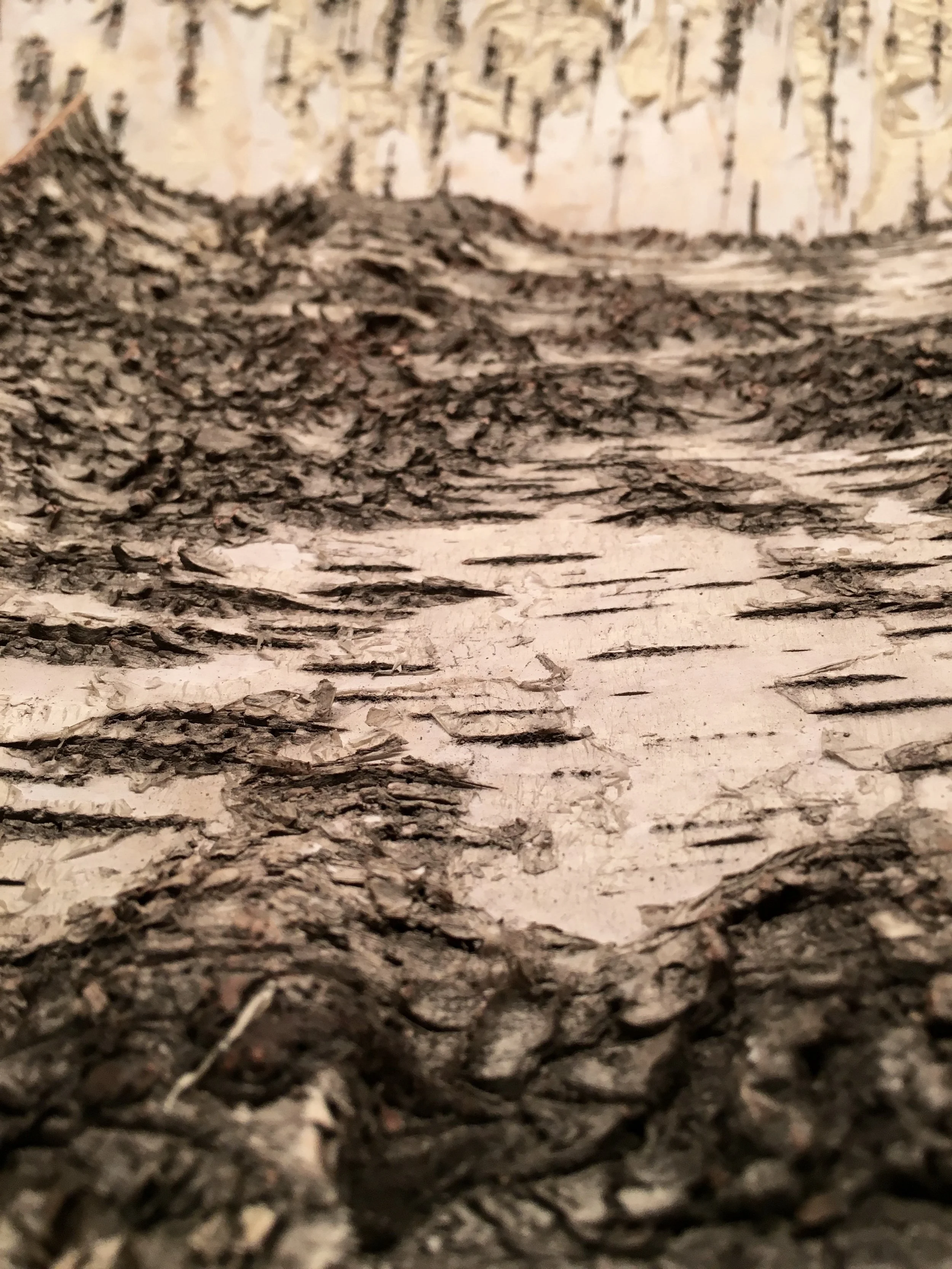 Birch "Moutainscape"