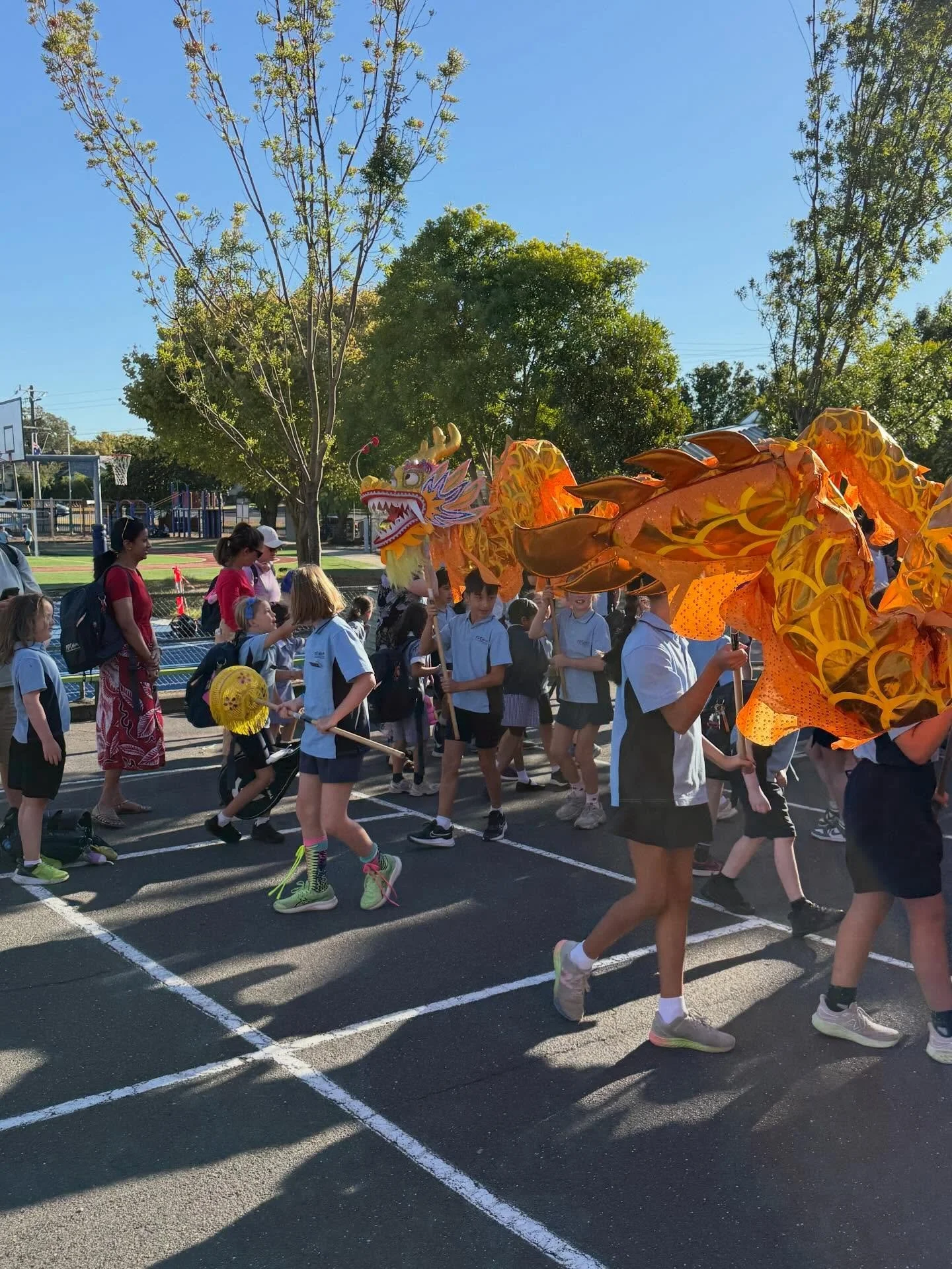 Hasp lunar new year 🧧